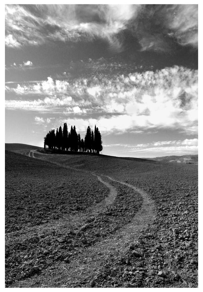 The cypresses of San Quirico d'Orcia_2