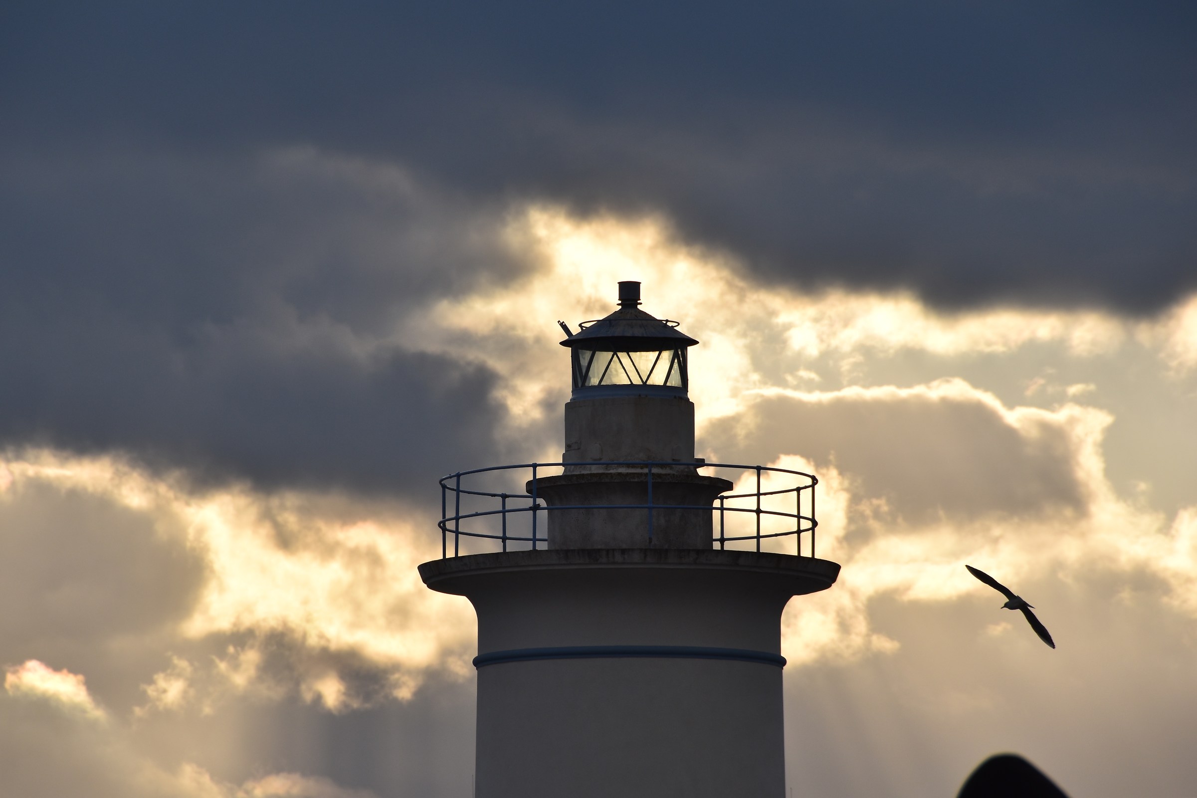on the port of viareggio