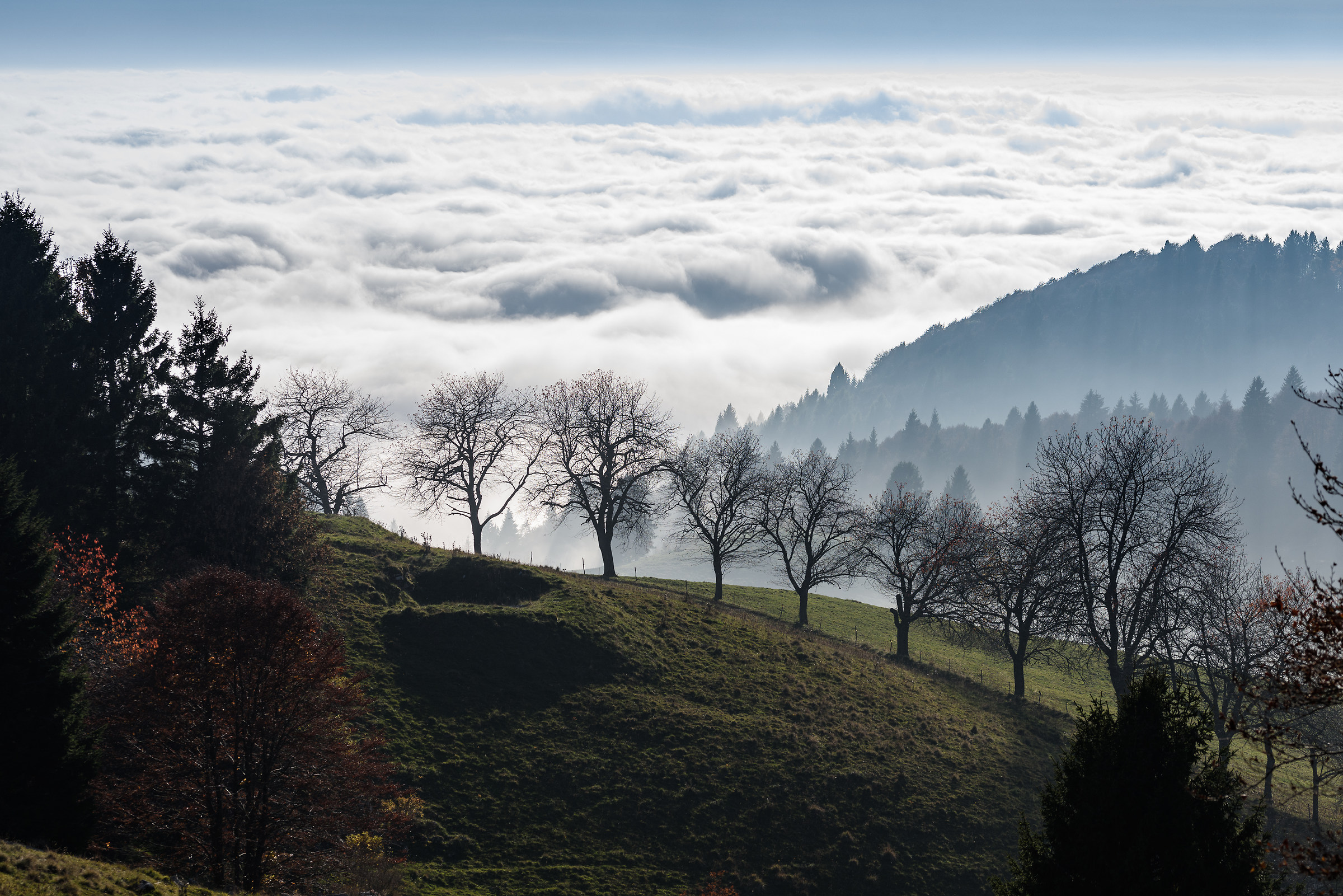 Over a sea of ??clouds
