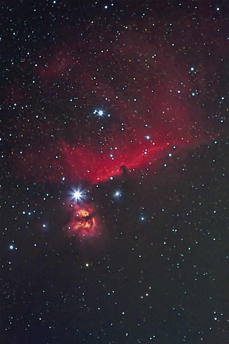 Horse Head and Flame