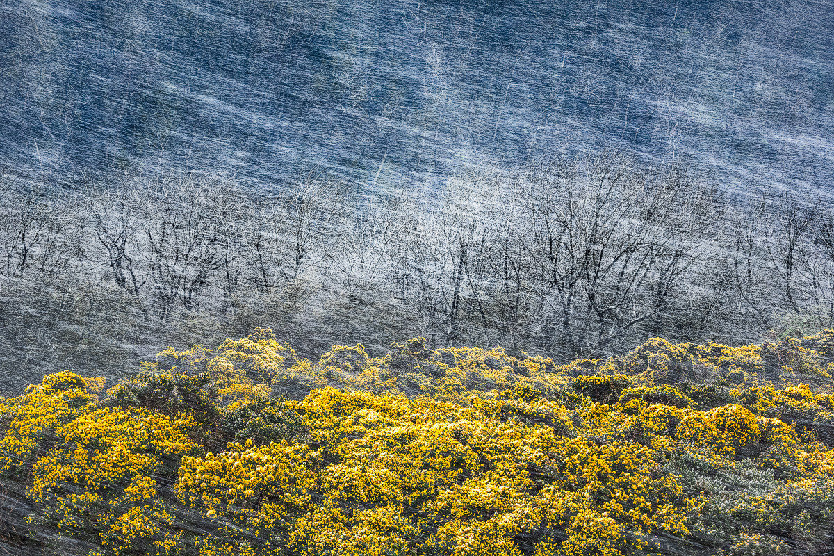 Naturalmente impressionista