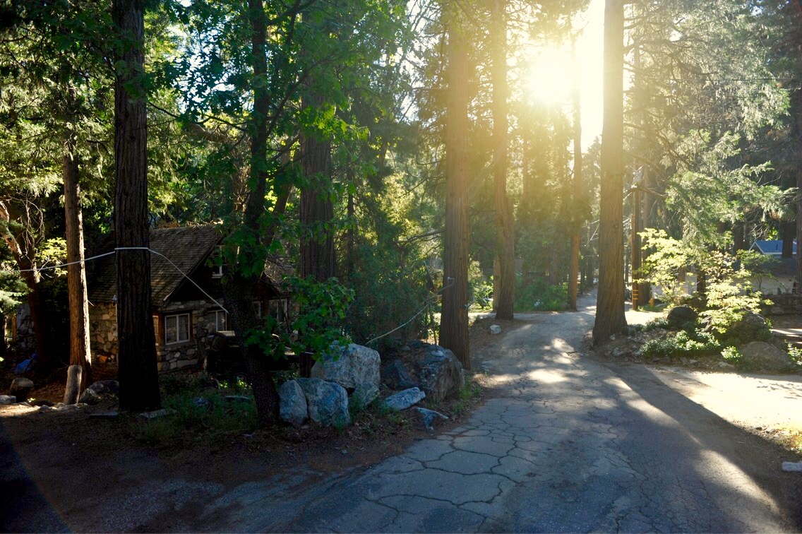 My house in Forest Falls, California