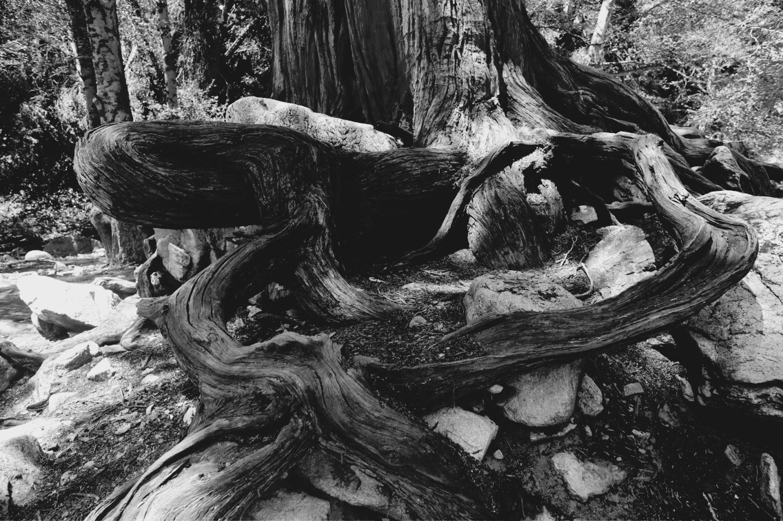 Forest Falls, Ca, u.s.a.