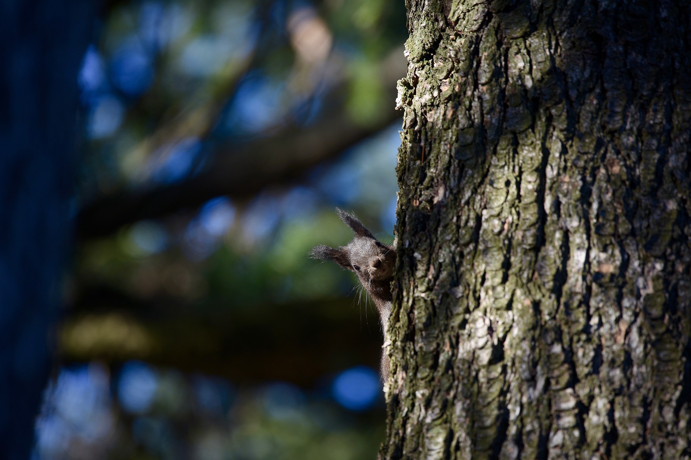 Ultimo giorno d'autunno 2017