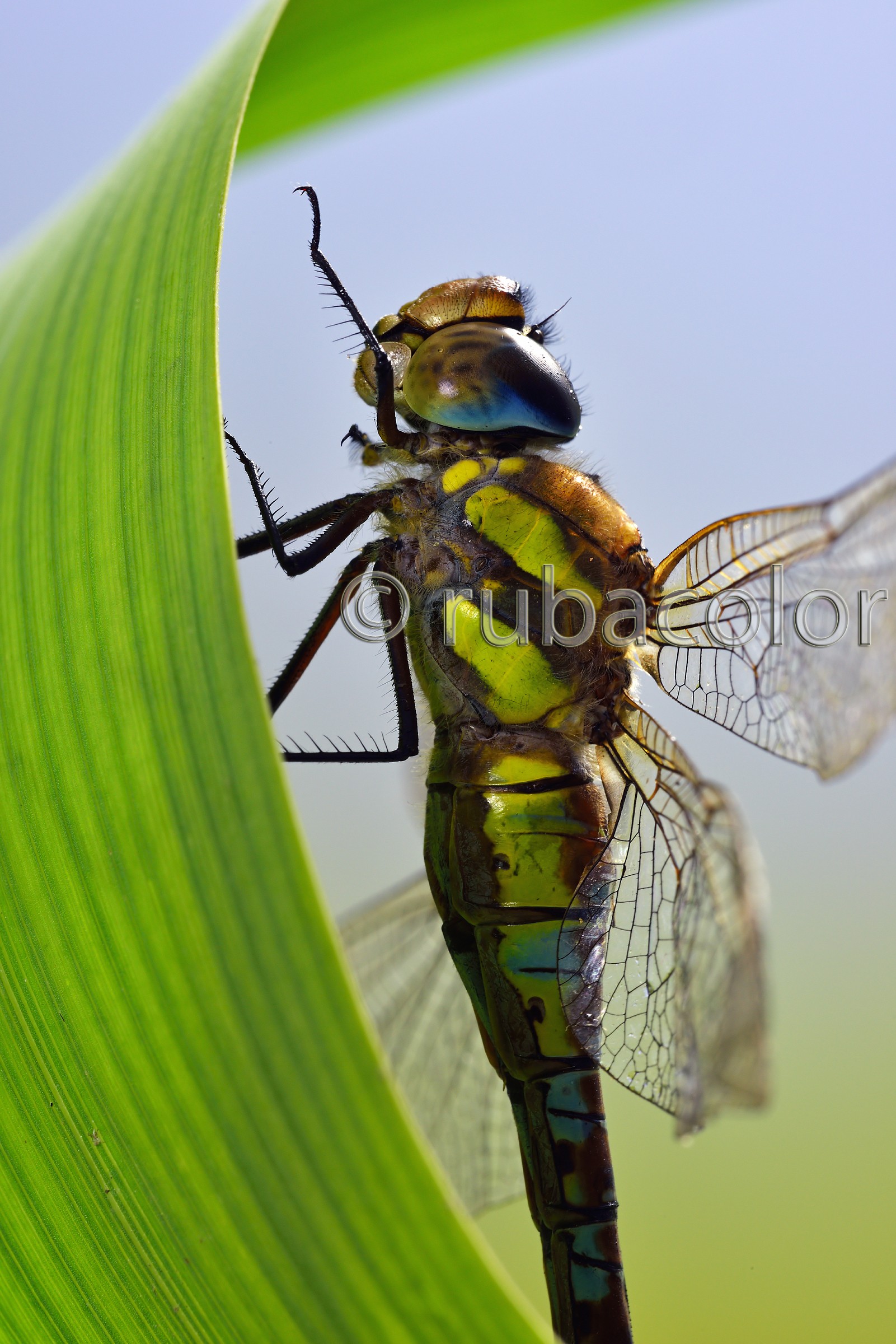 Imboccando l'autostrada per il cielo