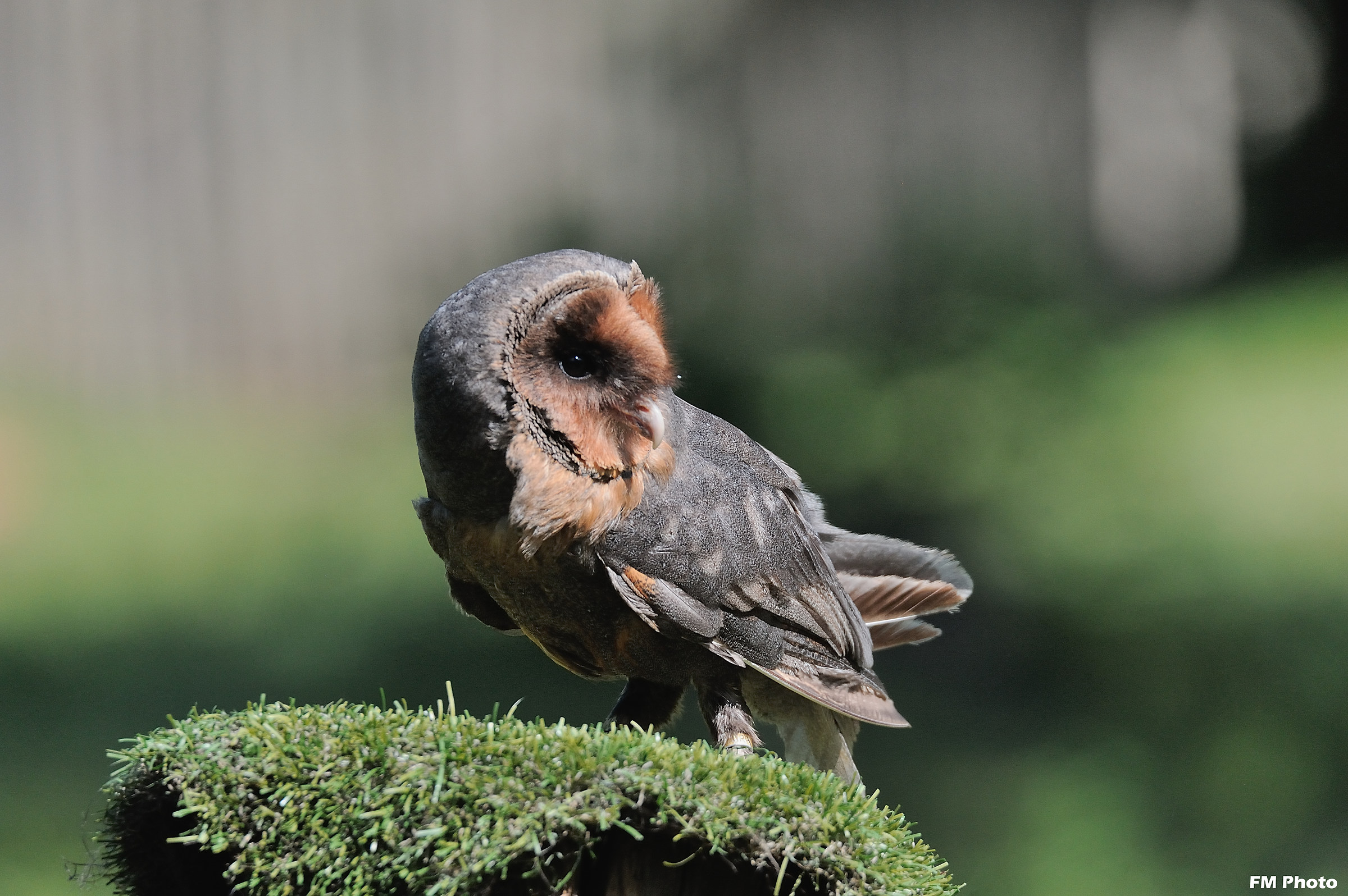 Mi verrà il torcicollo a furia di stare così ....