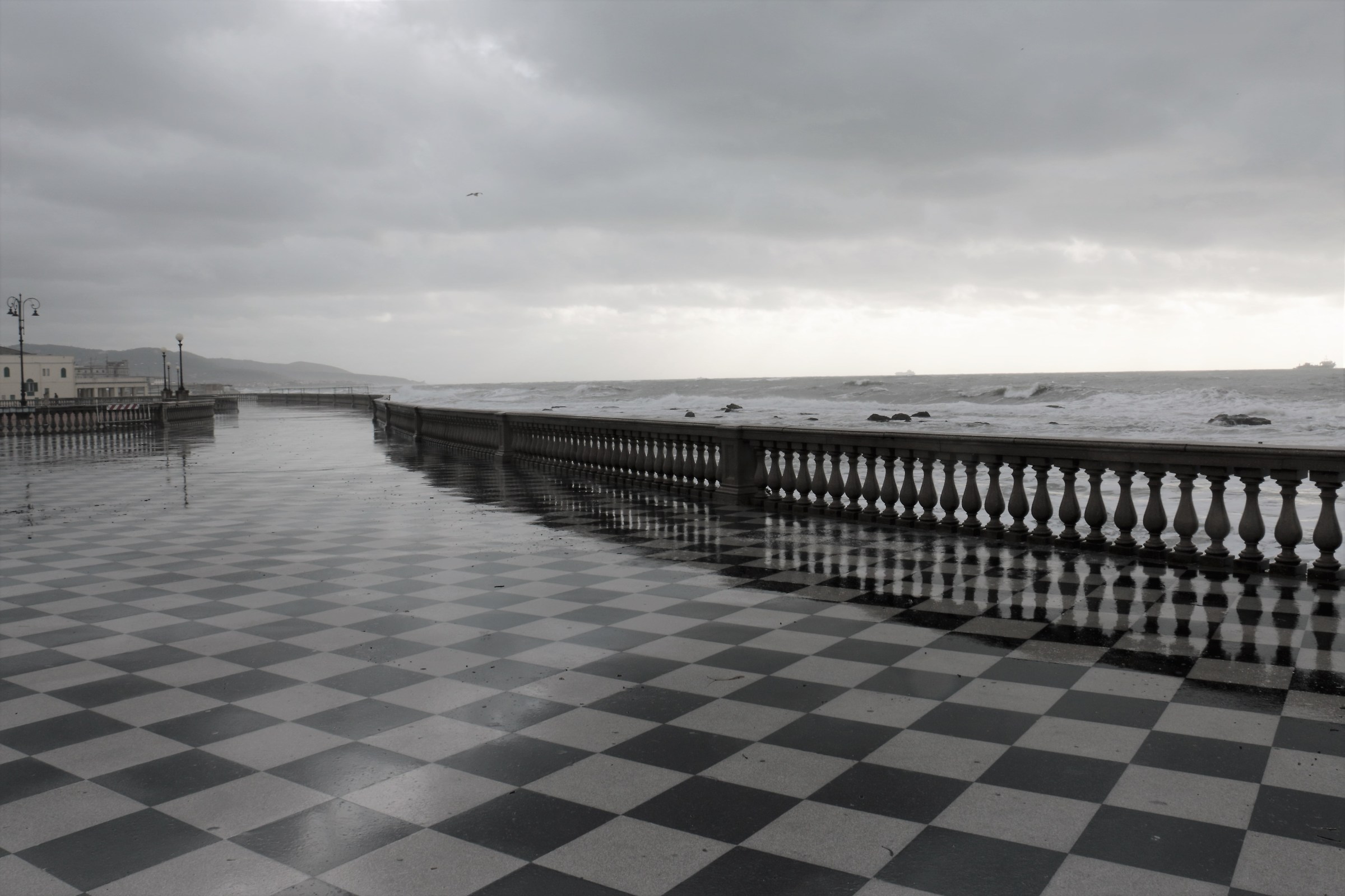 libecciata in Livorno 1