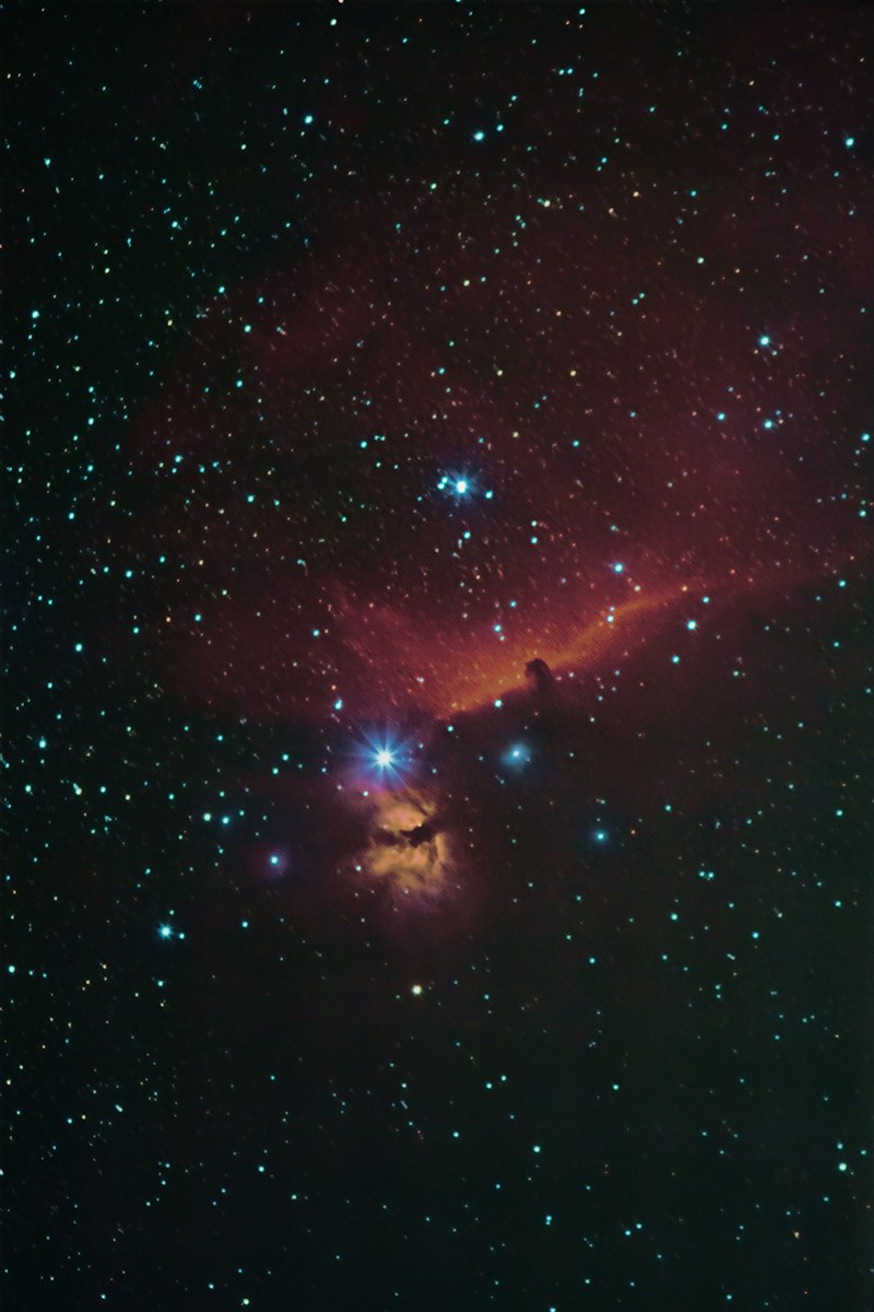 Horse head reworking