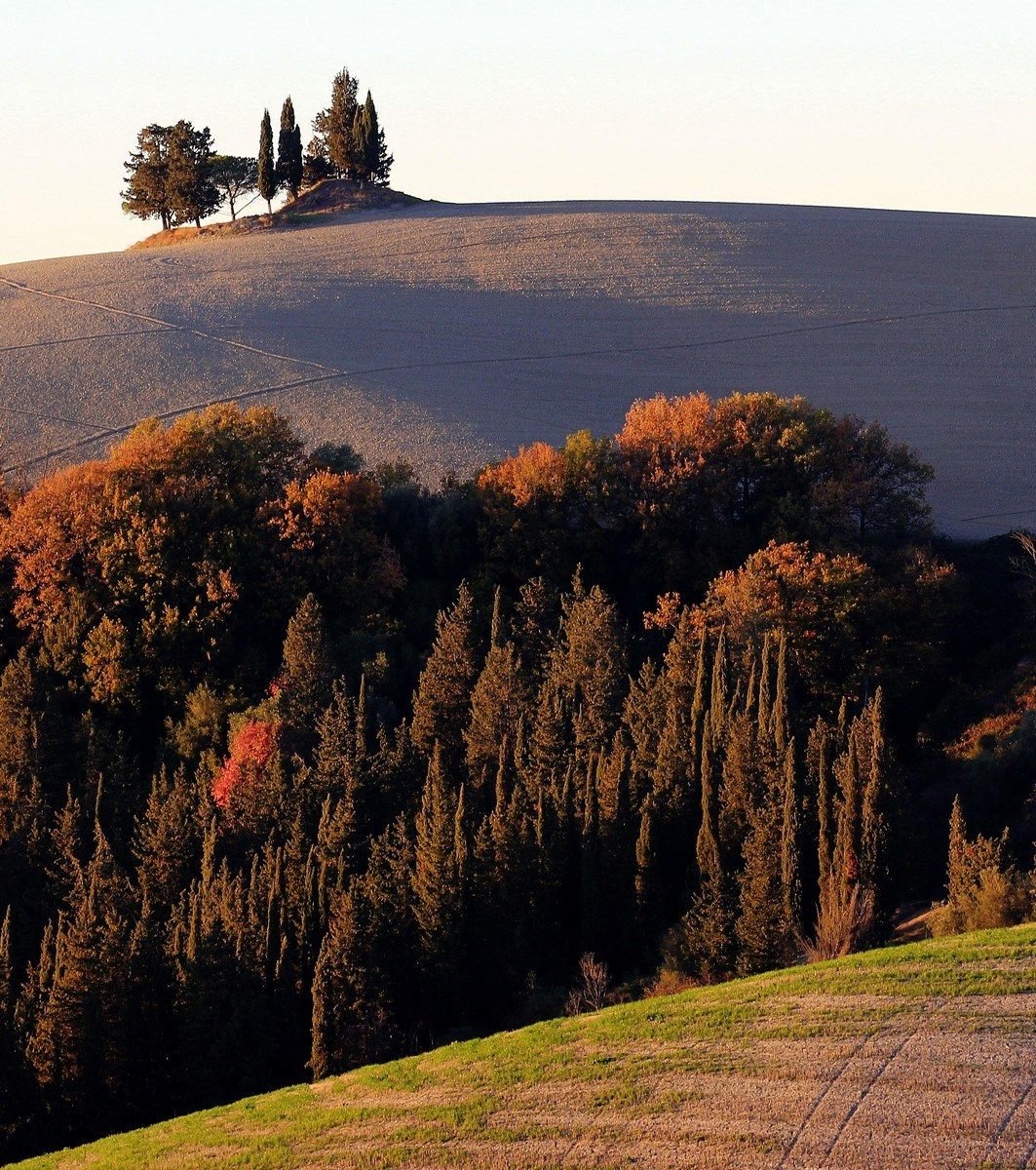 Lots of good wishes from Ghizzano