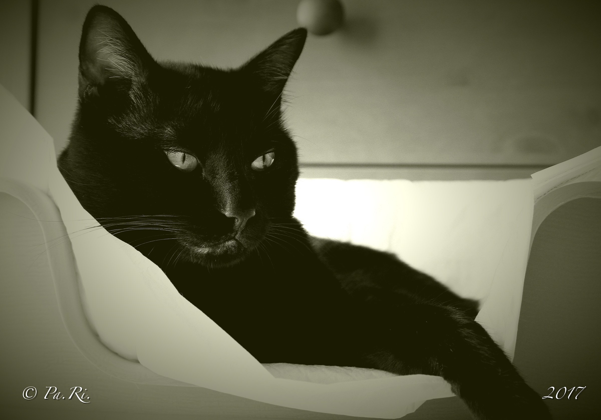 In great reflection.