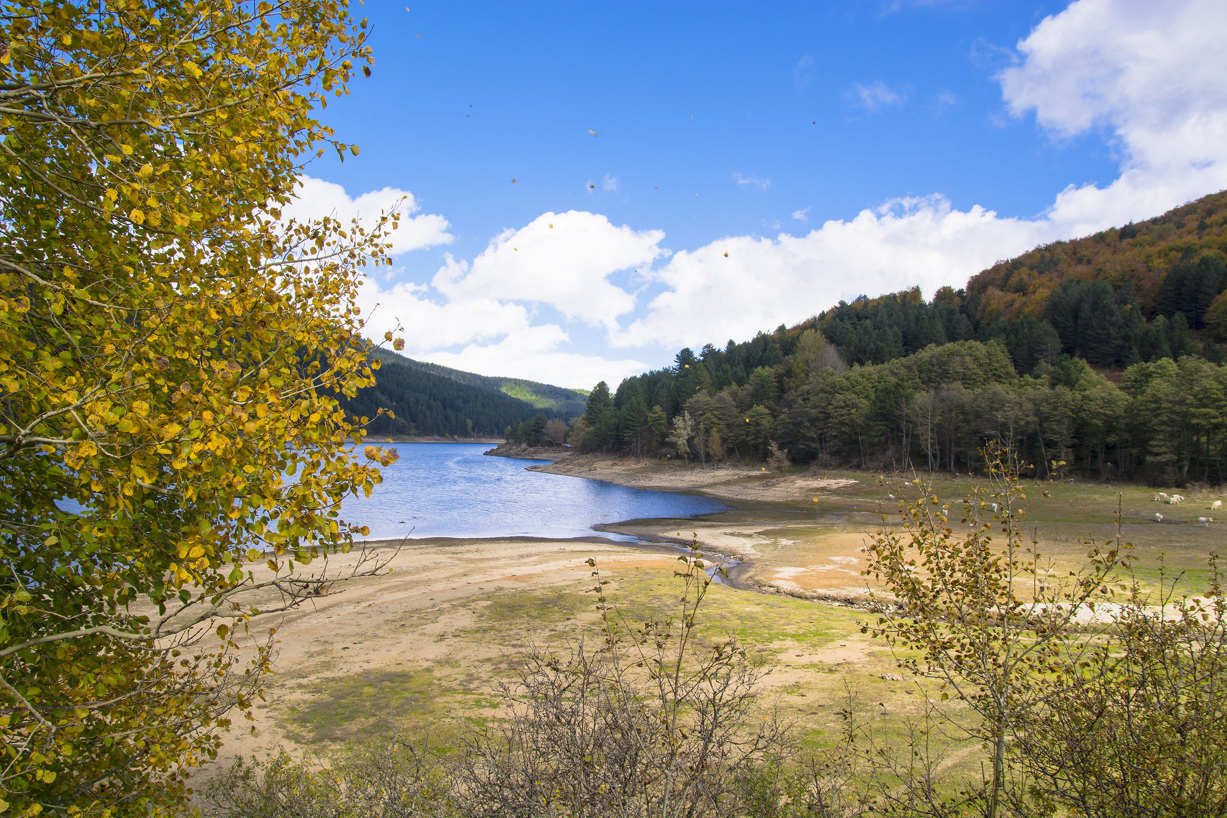 Foliage on Lake Ampollino