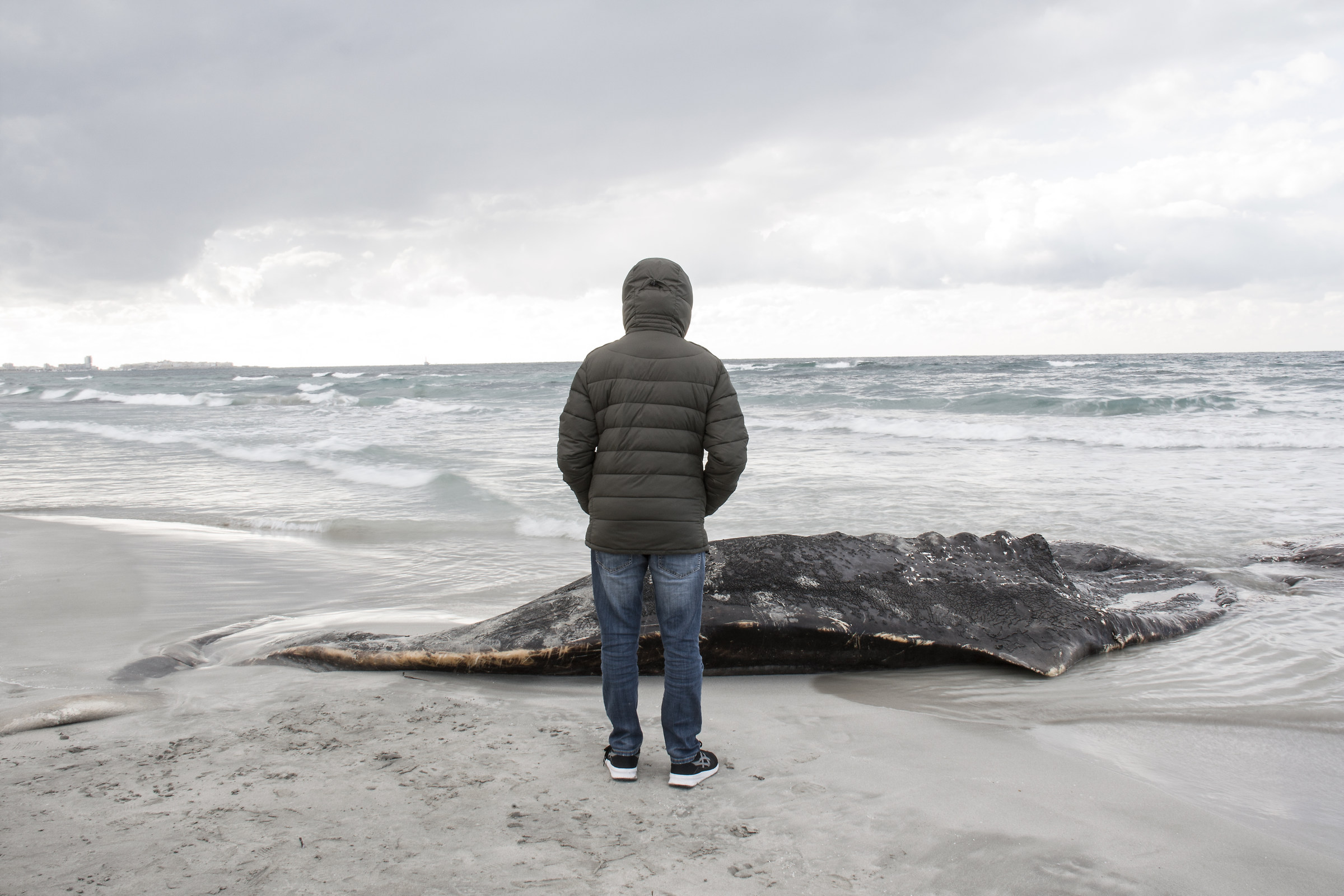 The shadows of the future