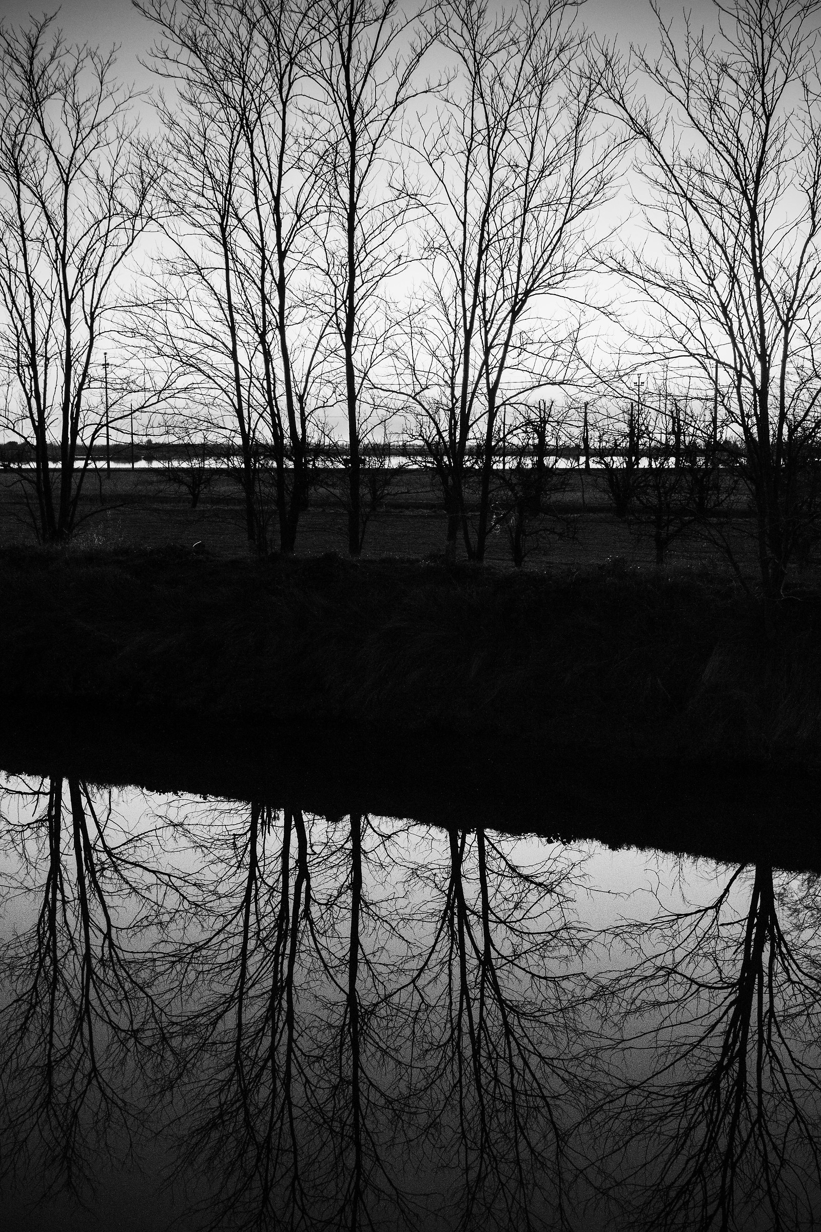 Riflessi a Lio piccolo #2