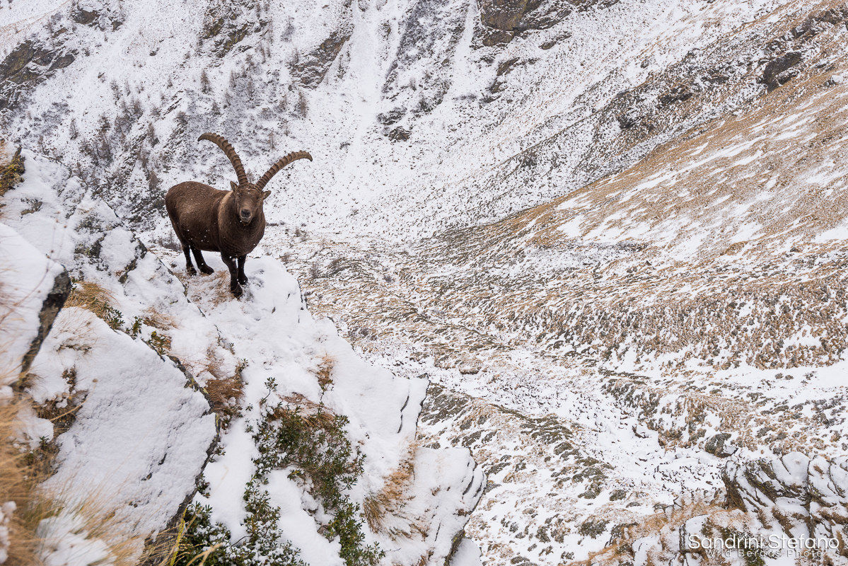 Different point of view