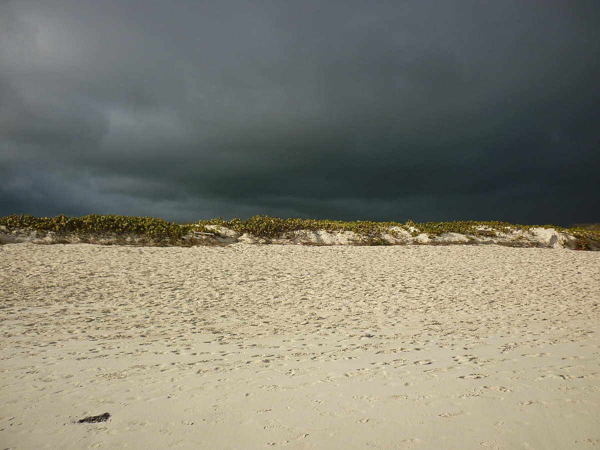 E' meglio andare... sempre più nero