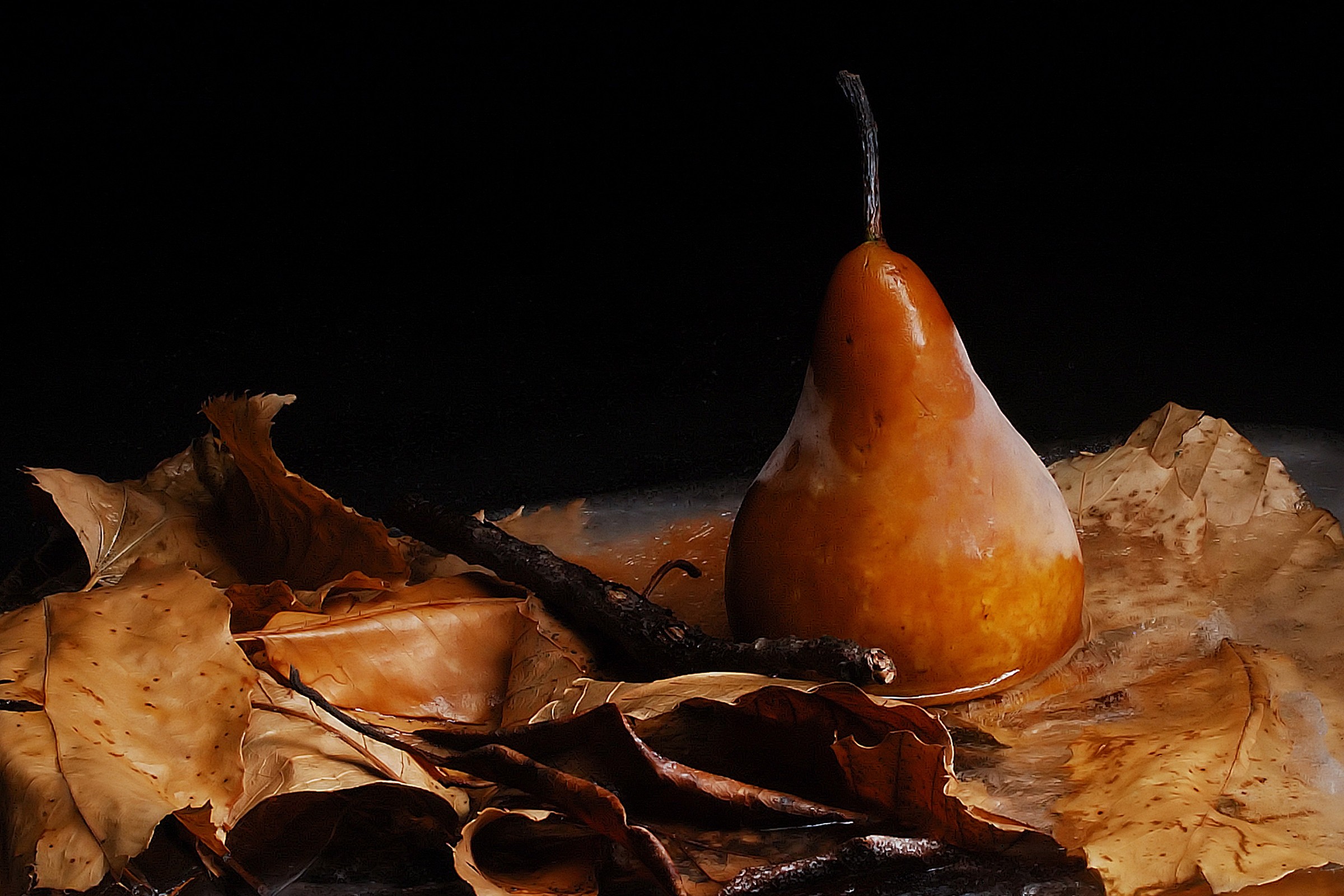 Natura Morta Sotto Zero