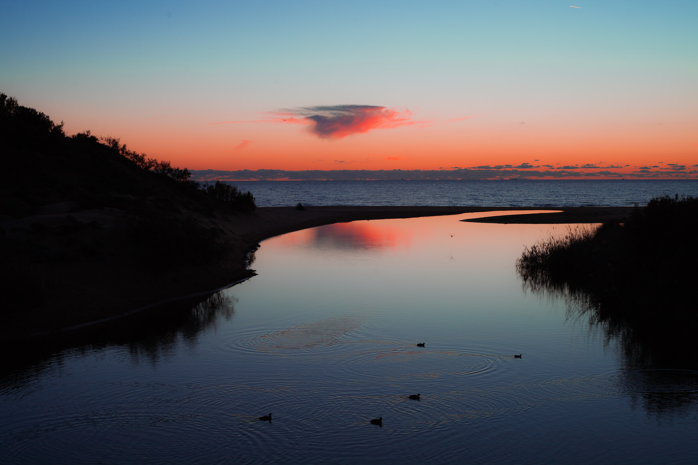 tramonto sul pantano