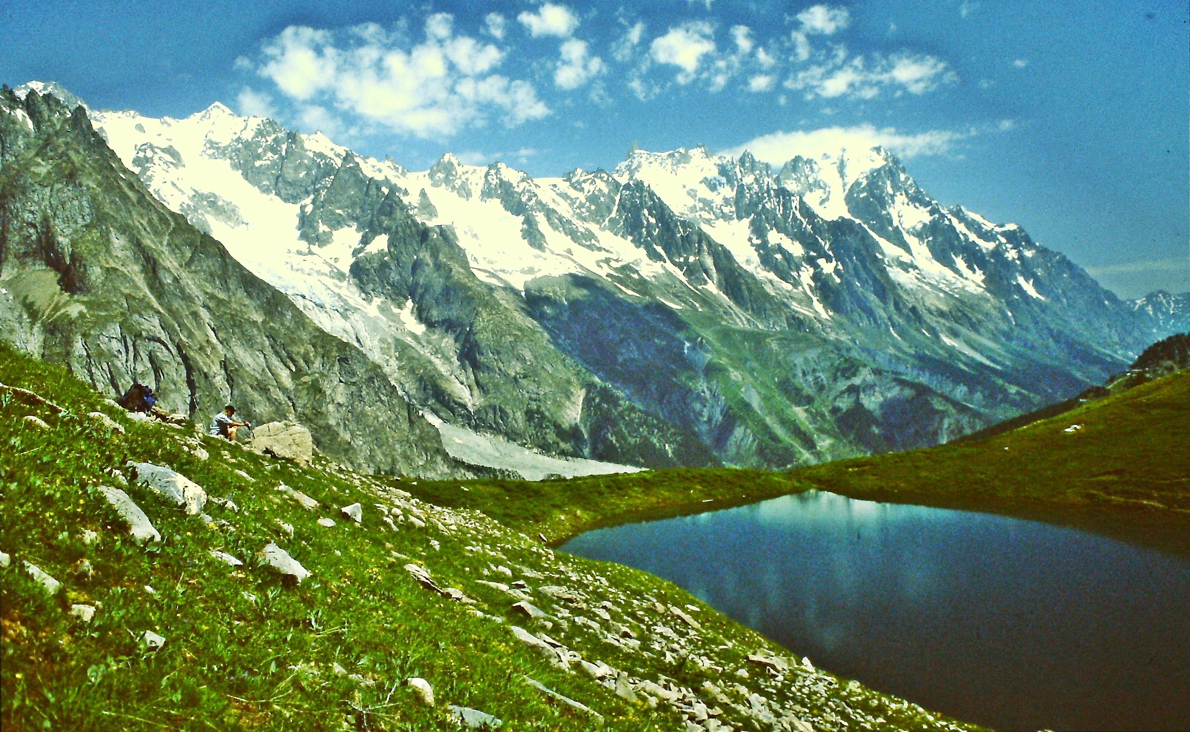 1345 - complete harmony