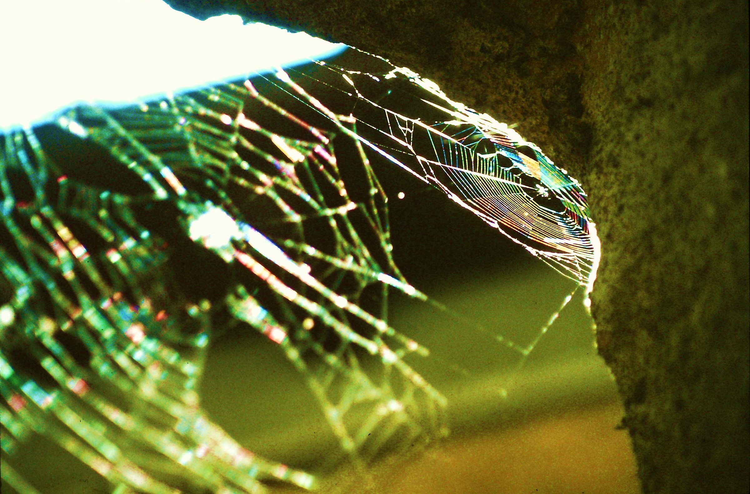 1529 - the angle of light