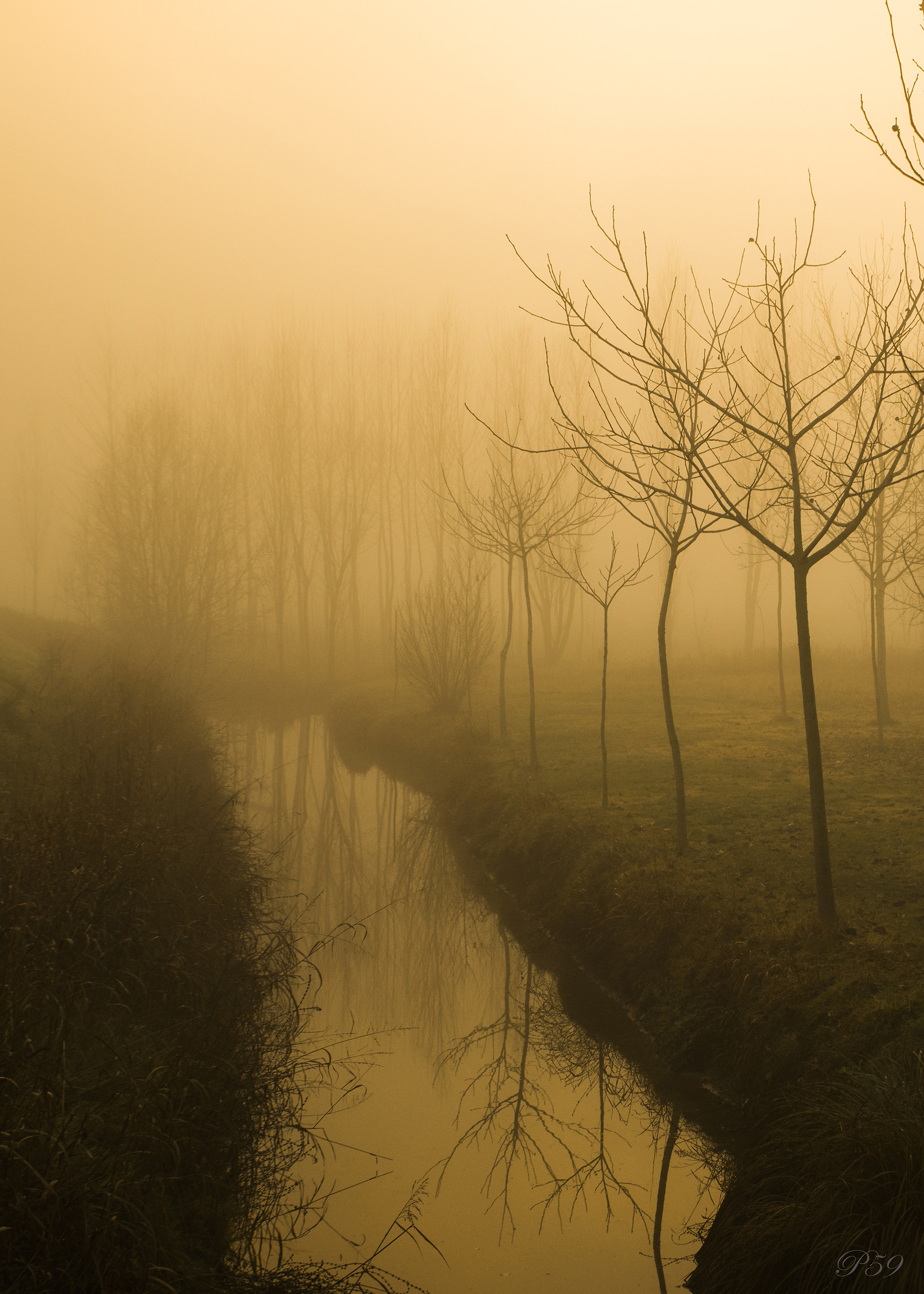 Fog in Val Padana