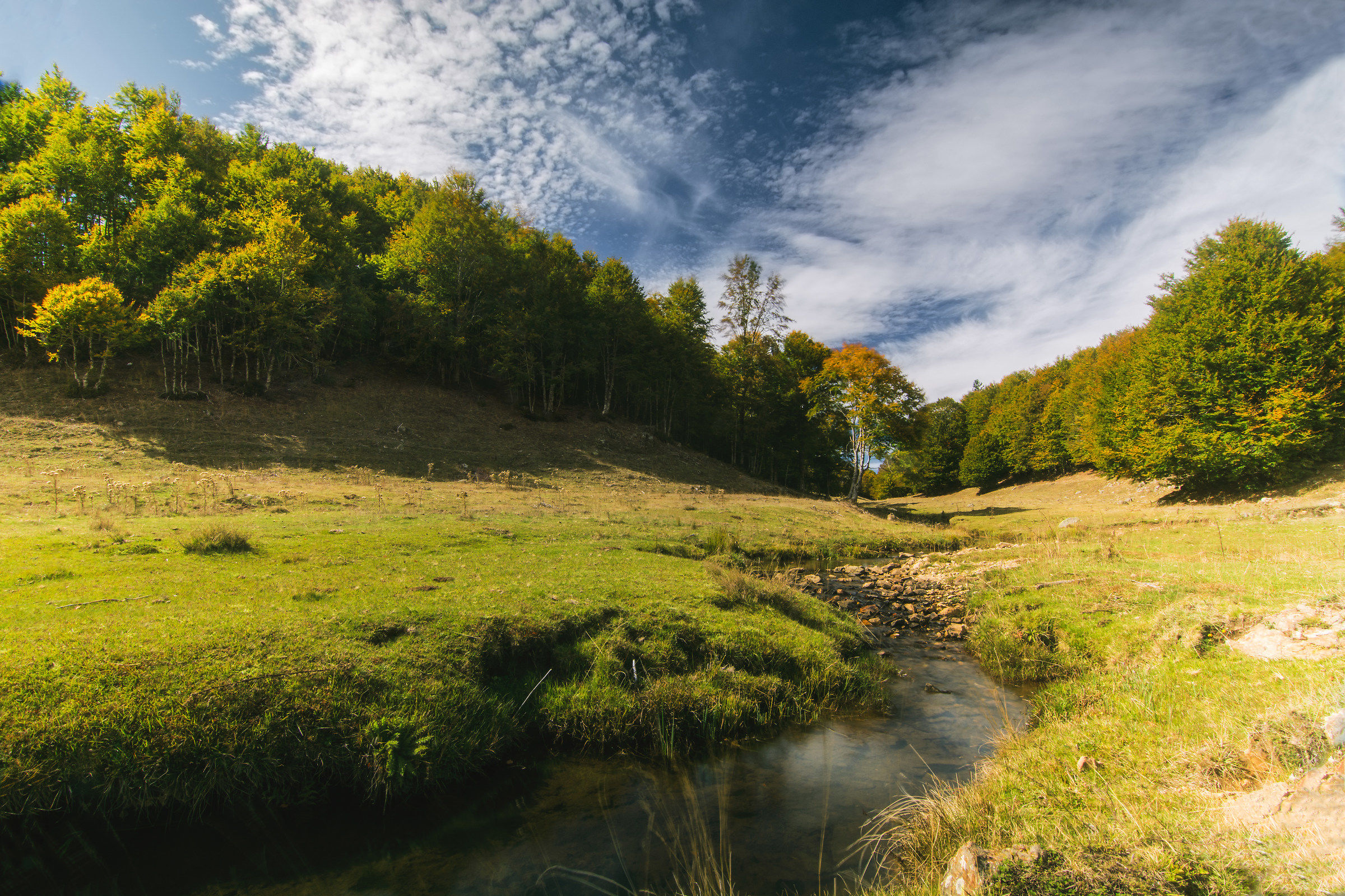 Foliage alla Valle del Crocchio
