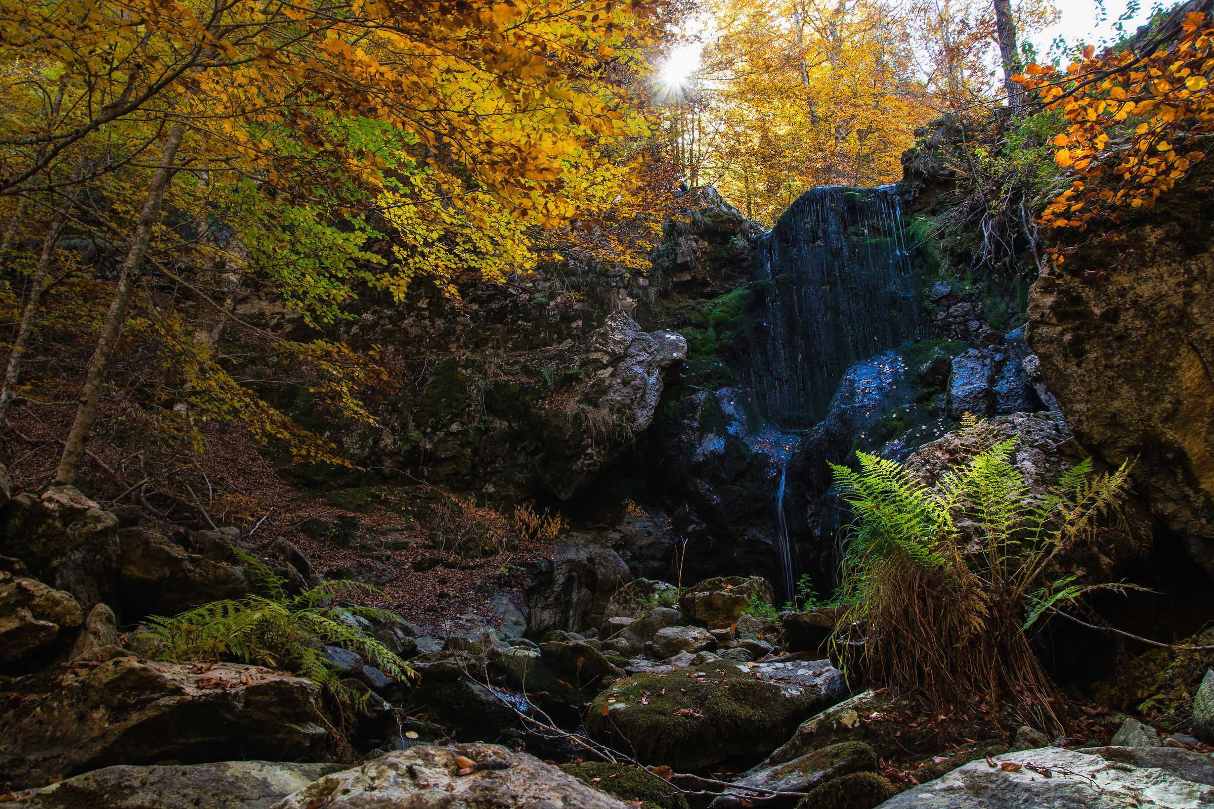 Foliage alle Cascate del Piciaro