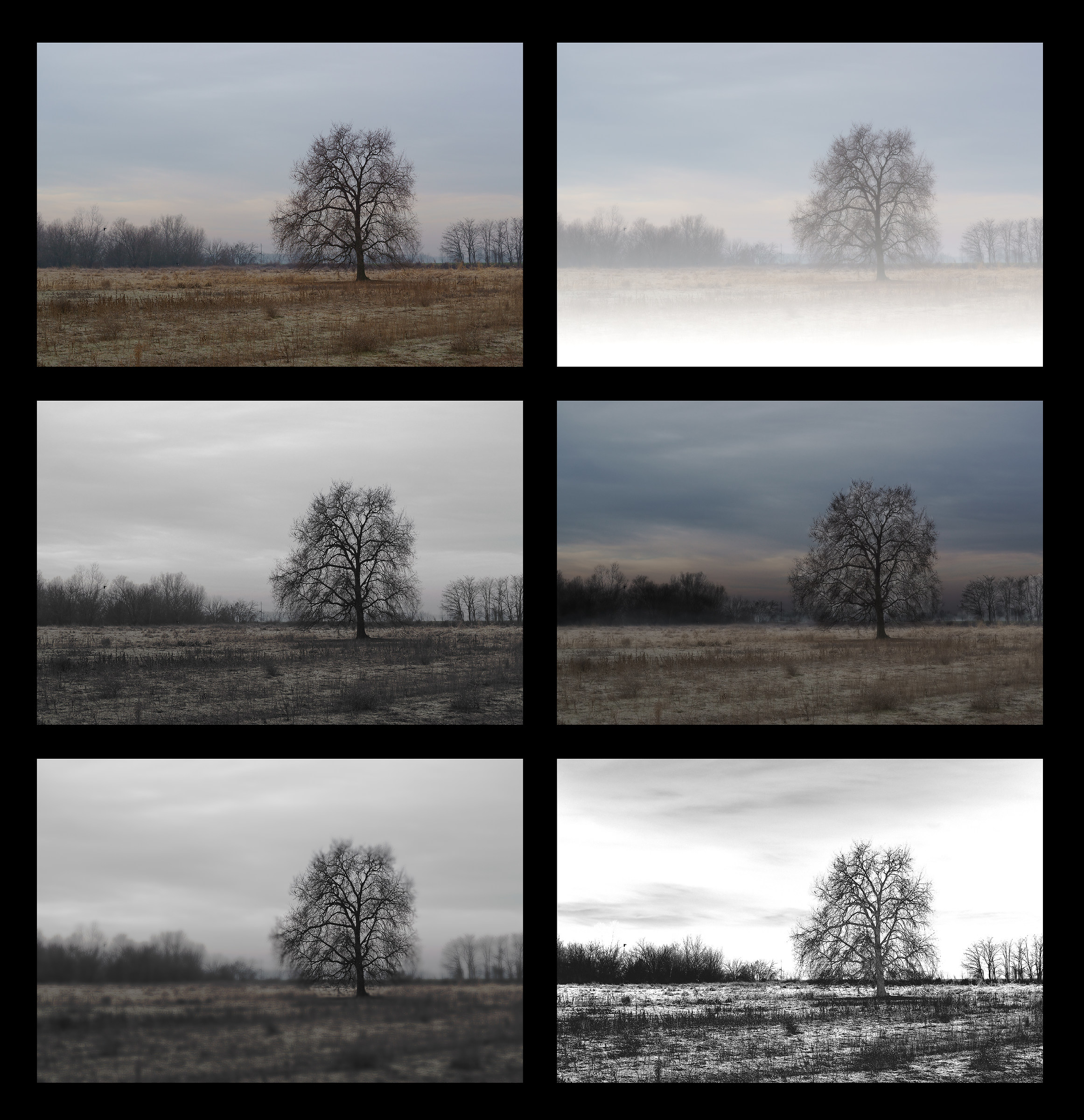 Loneliness and Silence (Solitude and Silence)