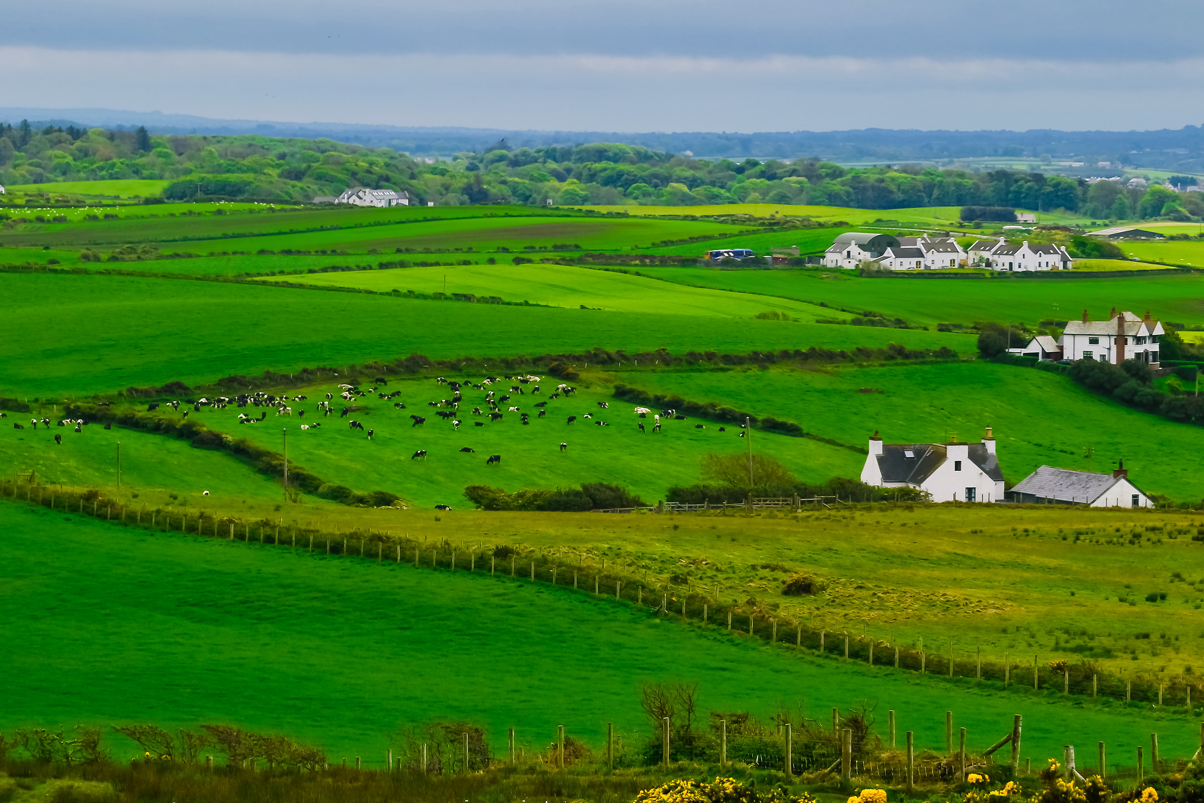 senza titolo - Irlanda
