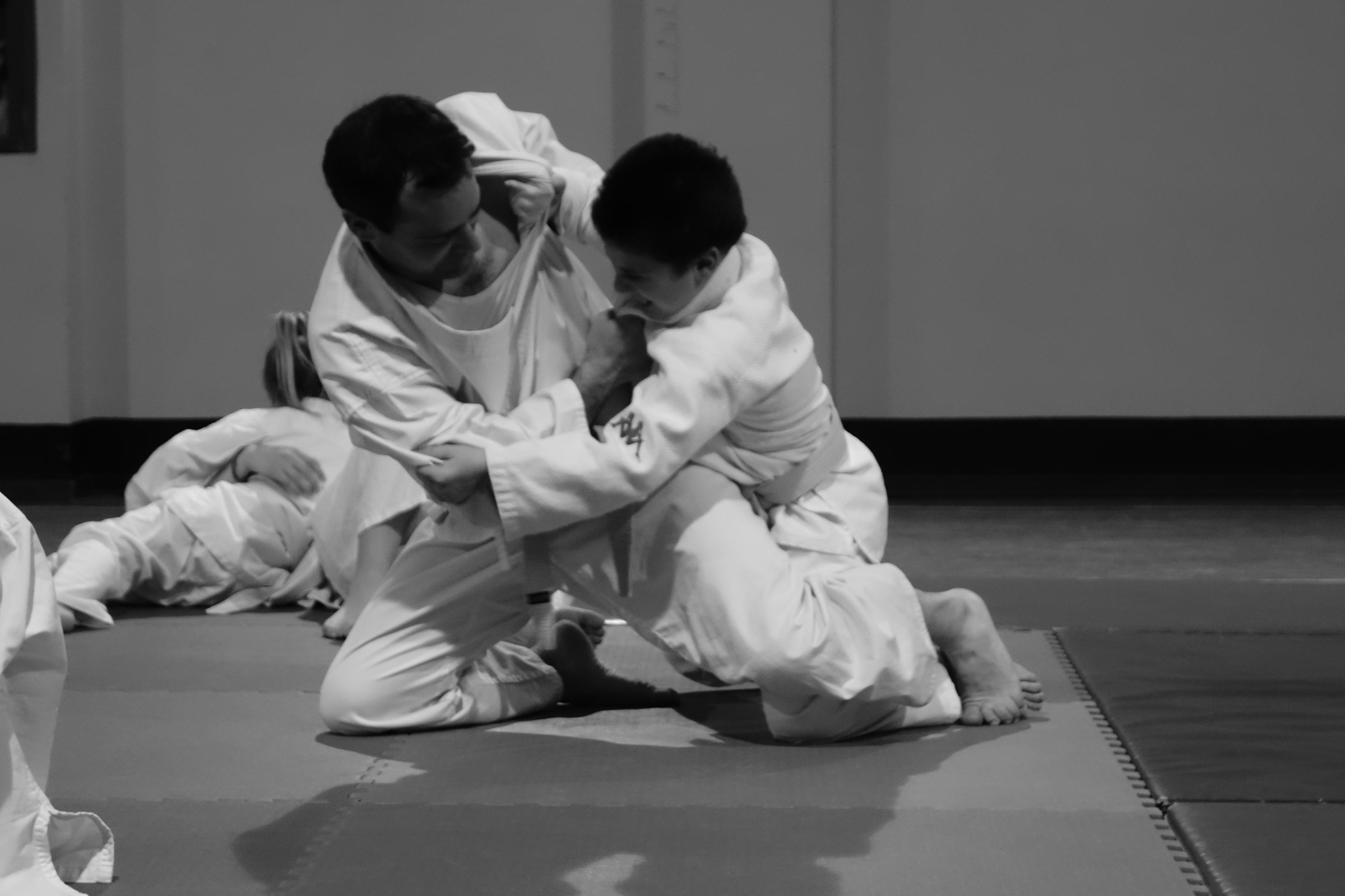 judo