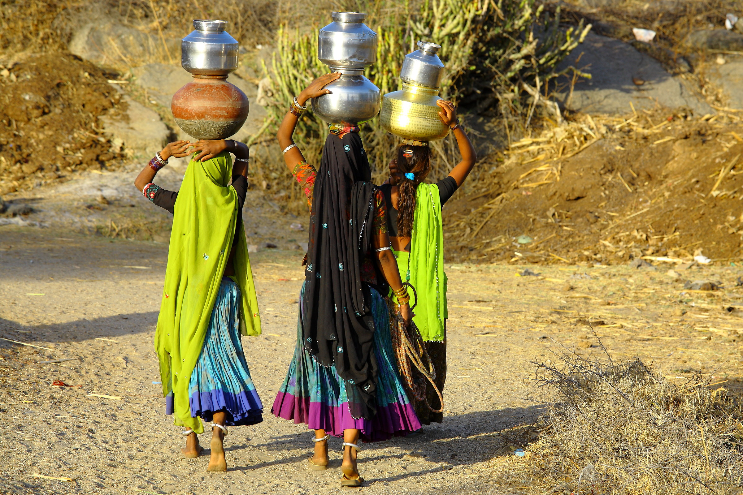 Dove l'acqua è preziosa, India