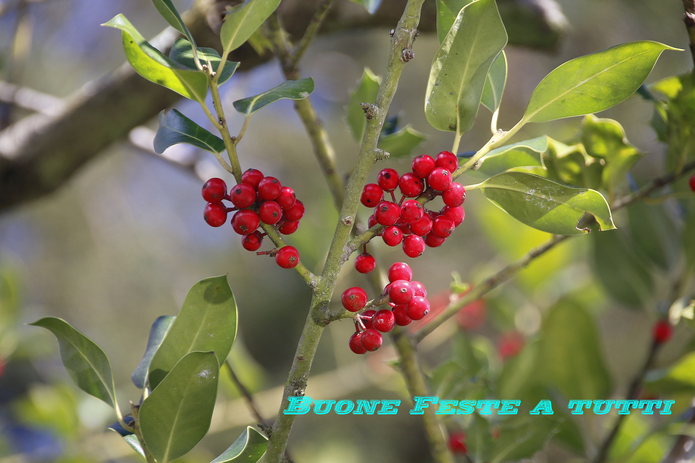 Happy Holidays to all