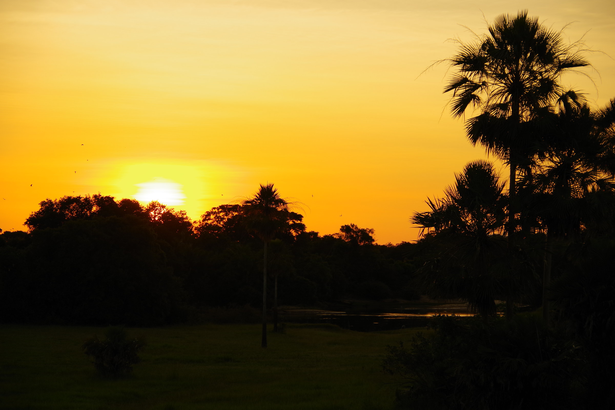 Tramonto al Barranco Alto, Mato Grosso del Sul,Pantanal