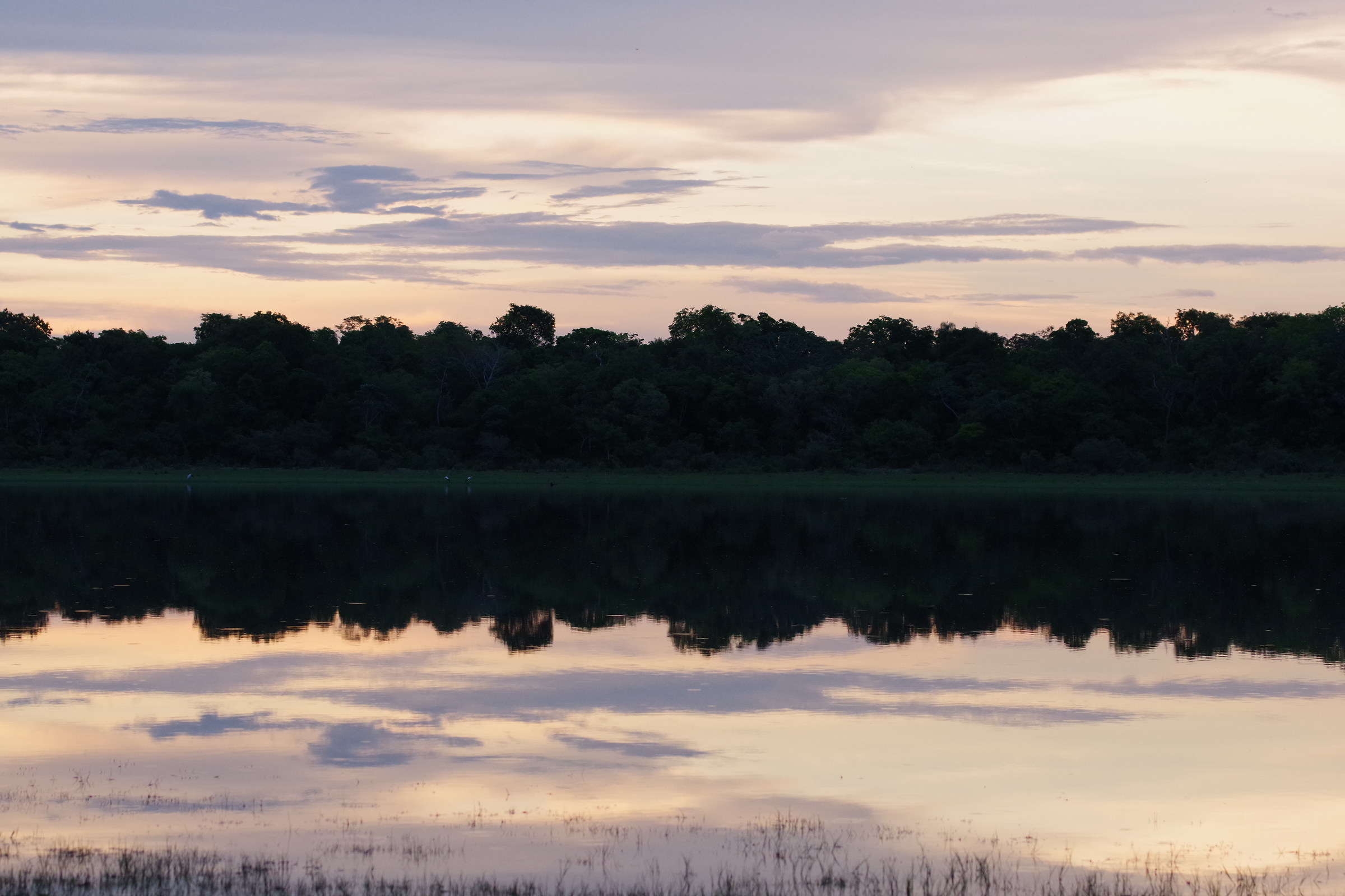 Specchio d'acqua, Mato Grosso del Sul, Pantanal