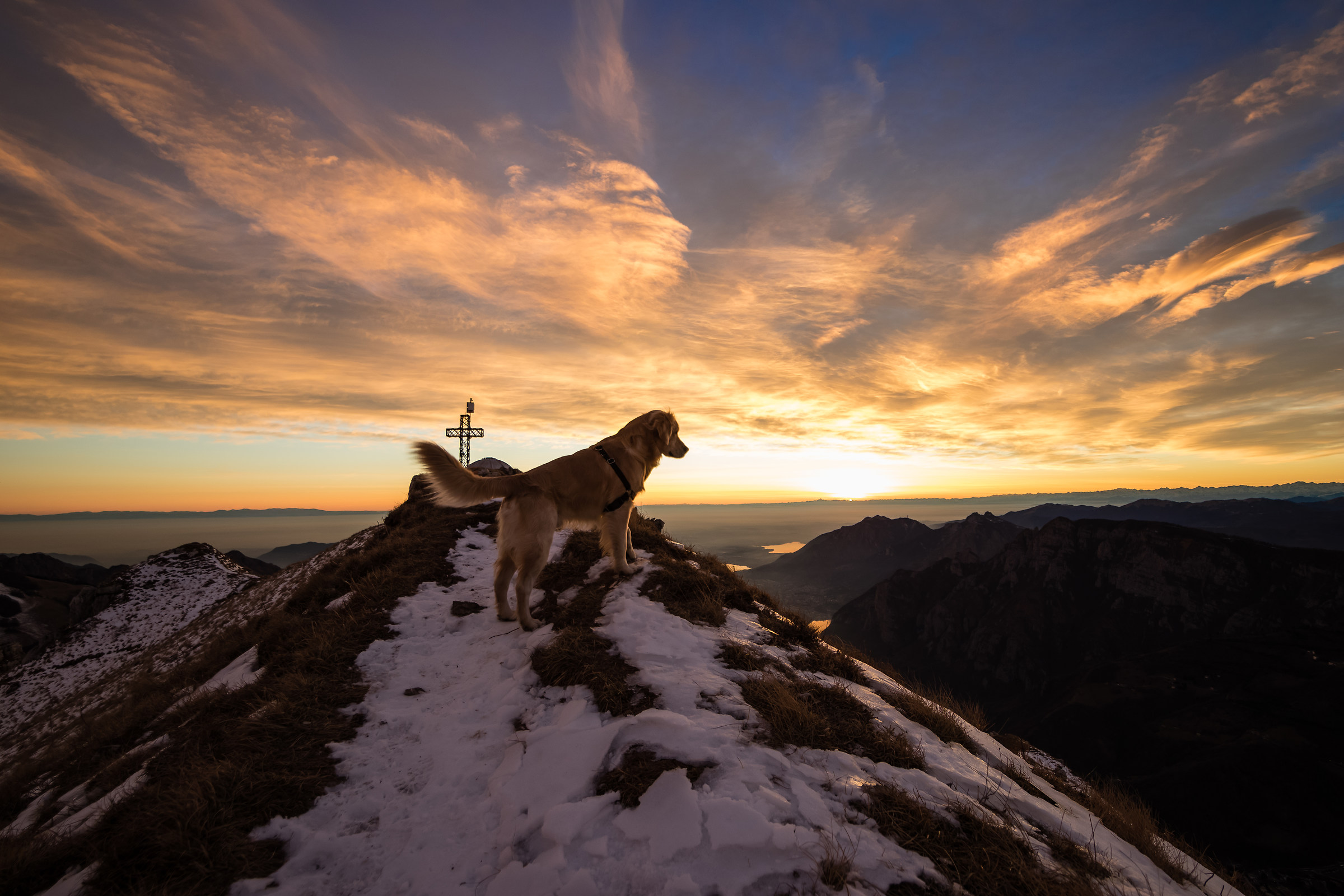 The King of the Mountain