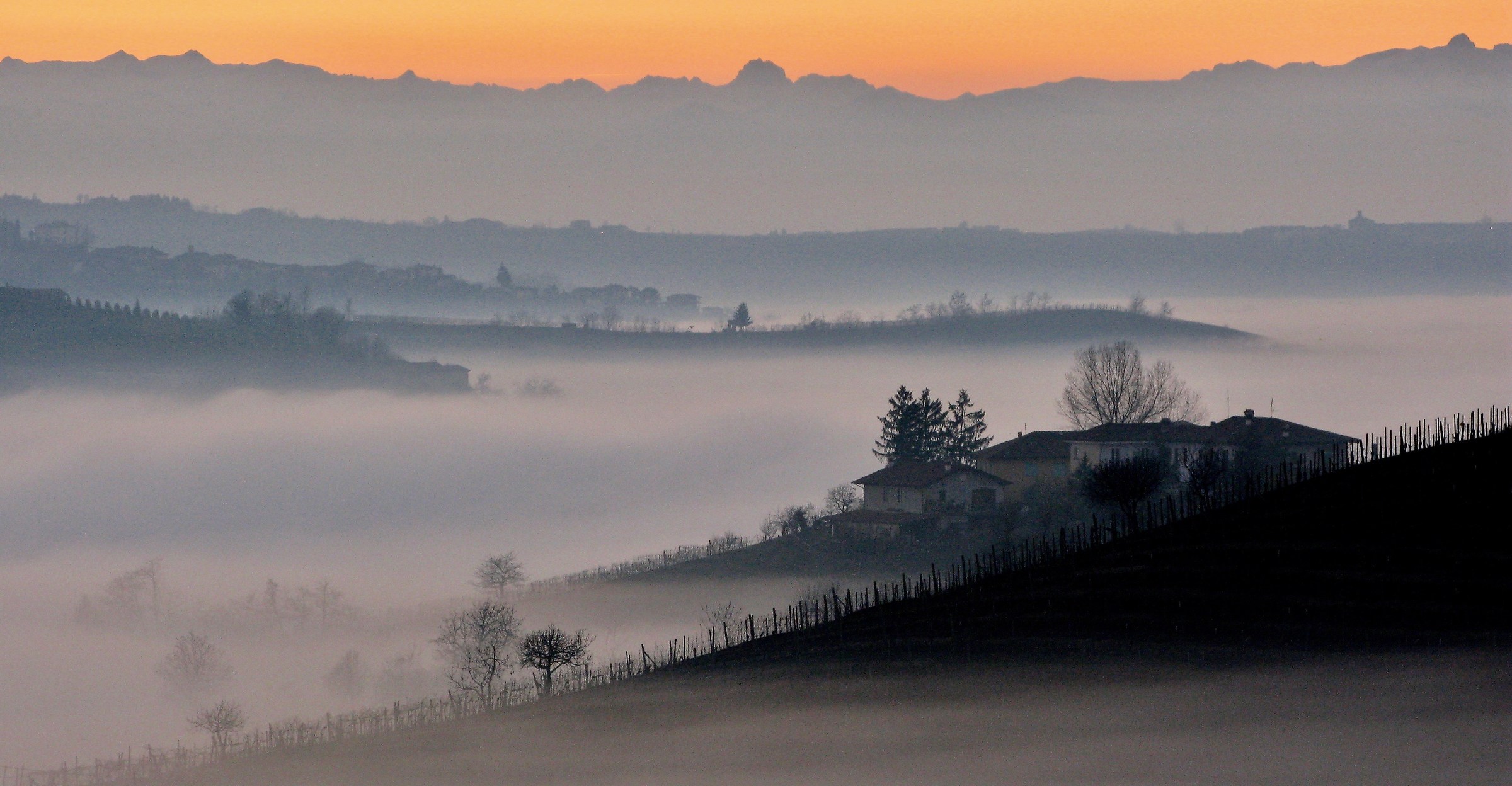 Nebbie a Montelupo Albese