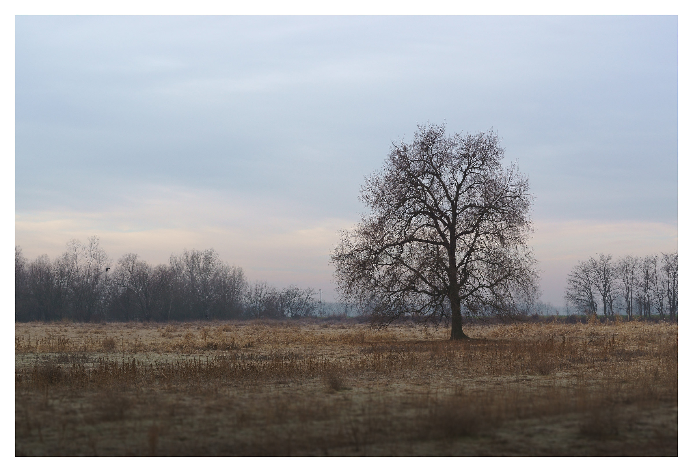 Loneliness and silence (Solitude and silence), 1