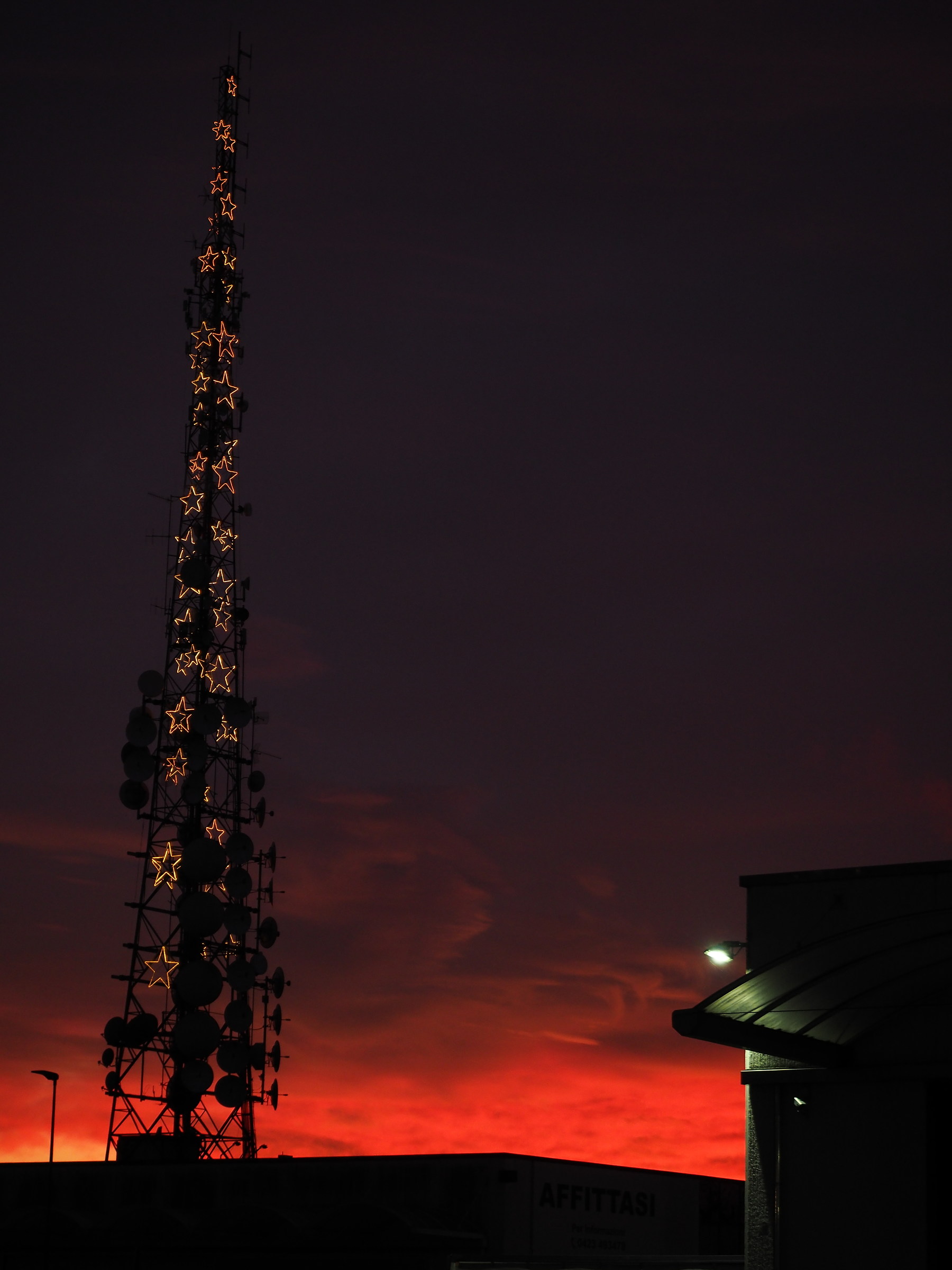 Nido diurno per le stelle