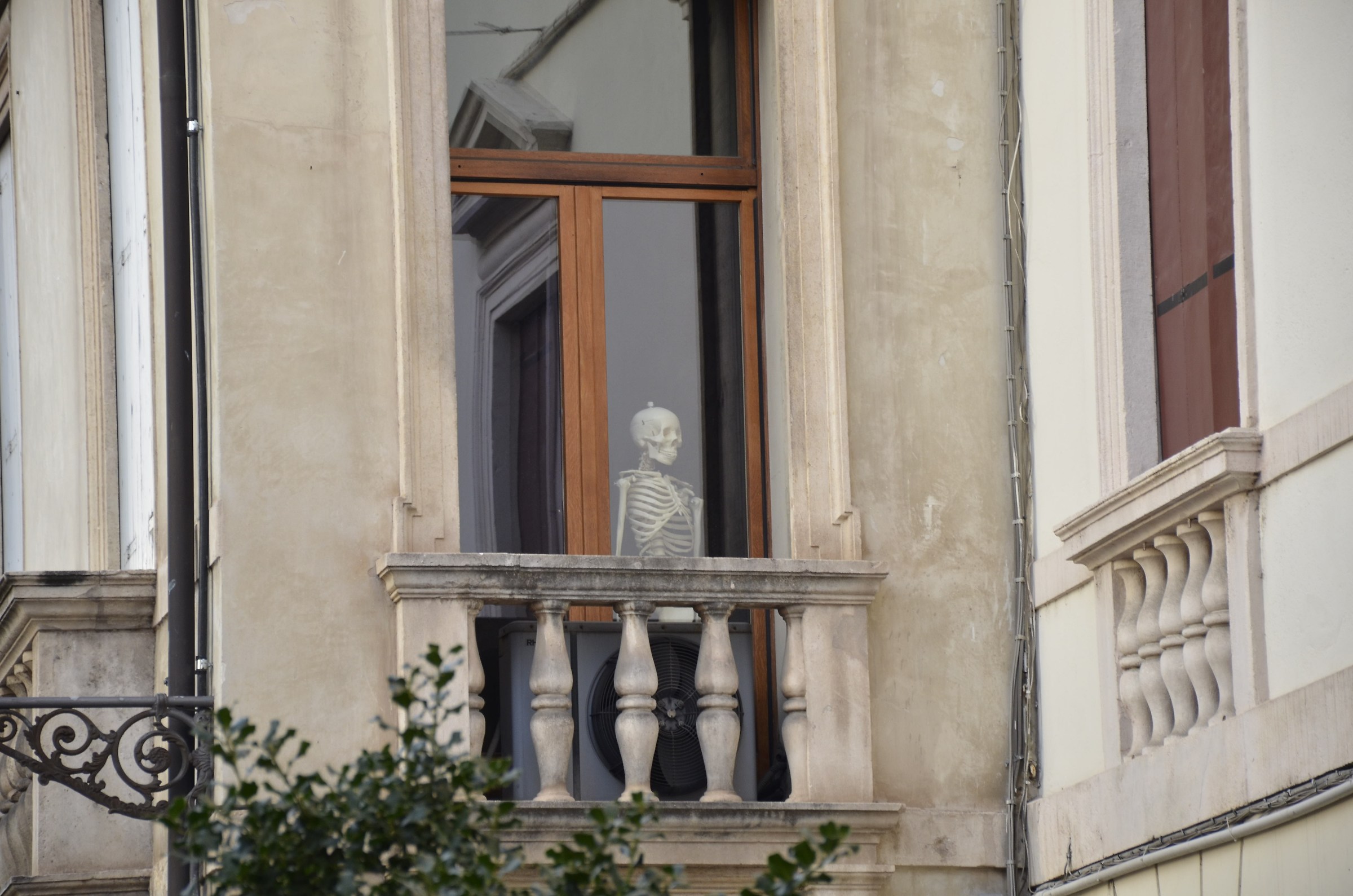 Non è ancora stanco di spiare dalla finestra?