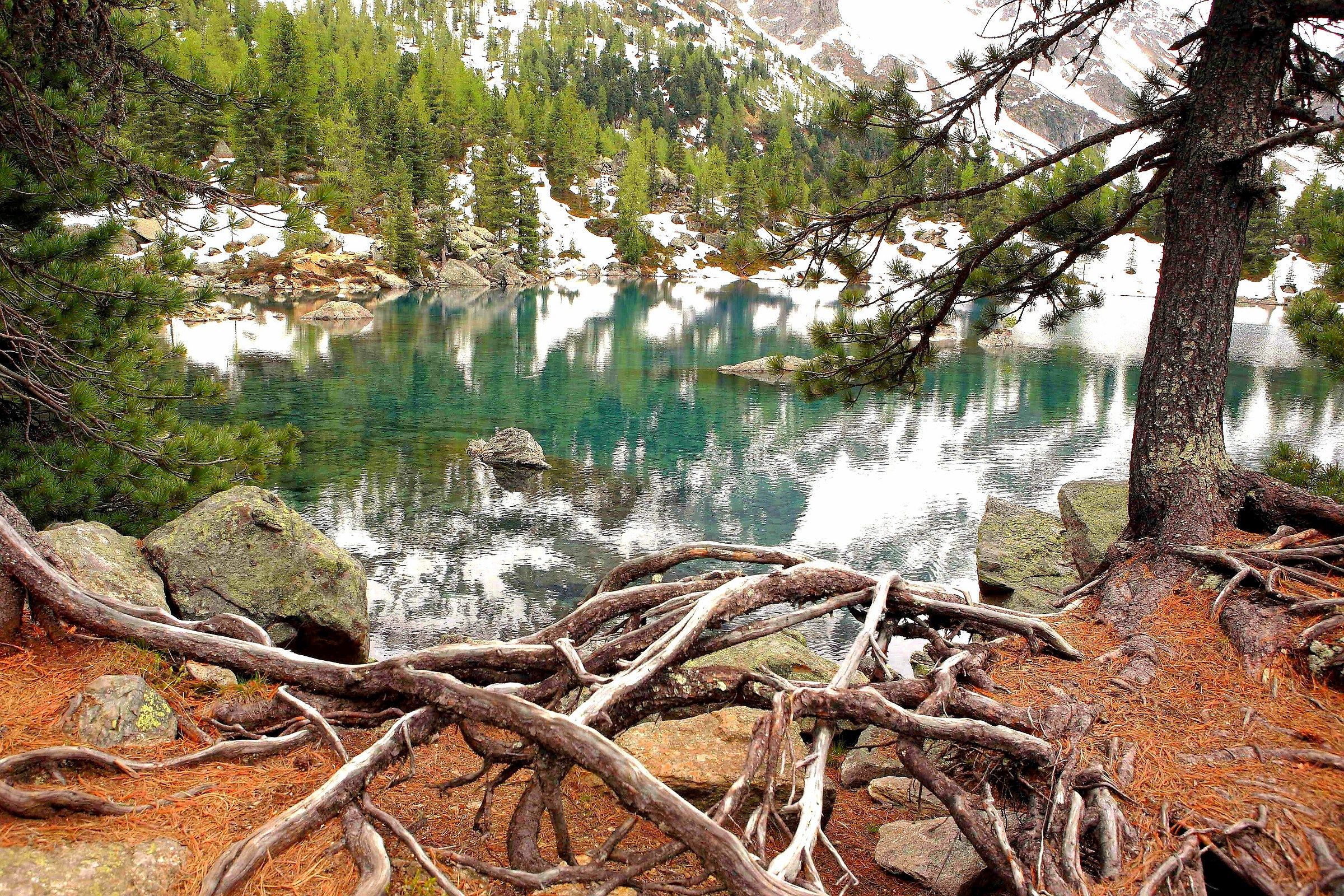 Lago Saoseo, Svizzera