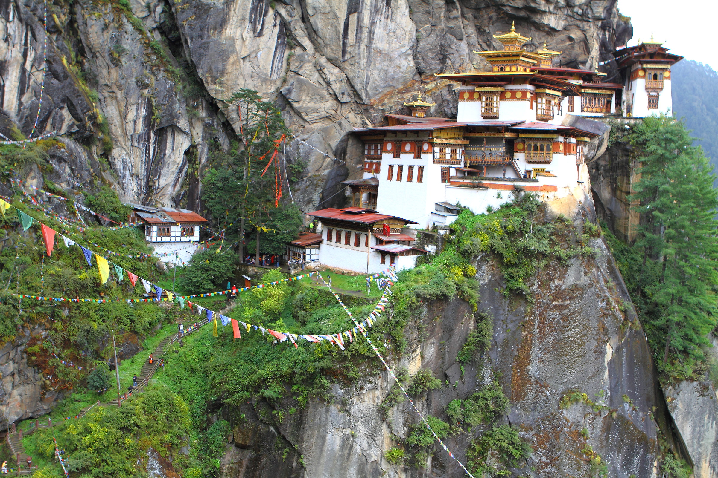 Tana della Tigre, Bhutan