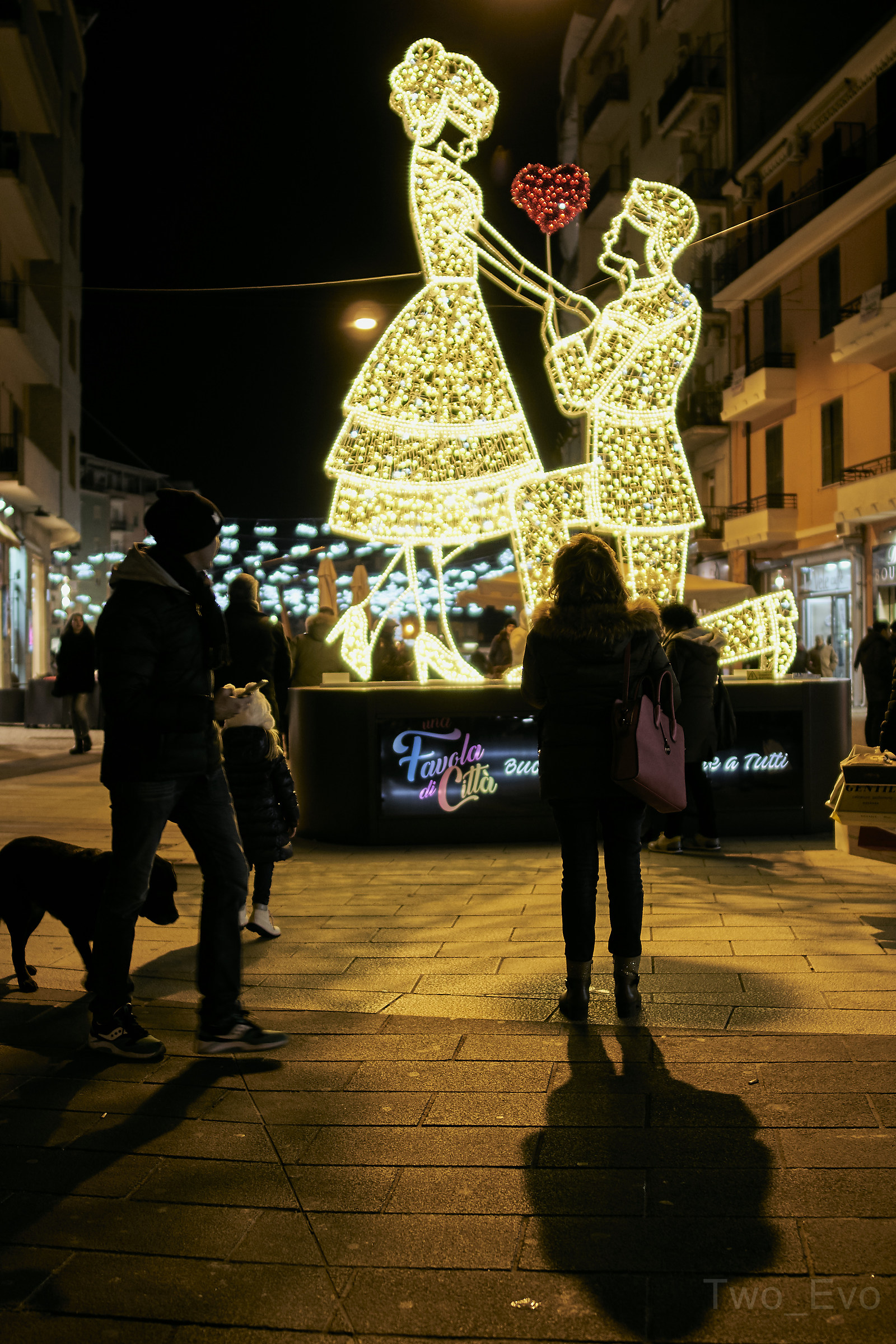 The Luminara proposal