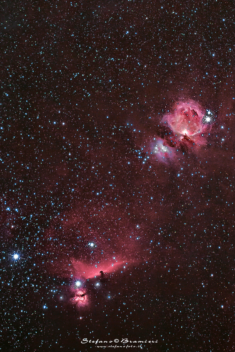 Horse and Orion Head
