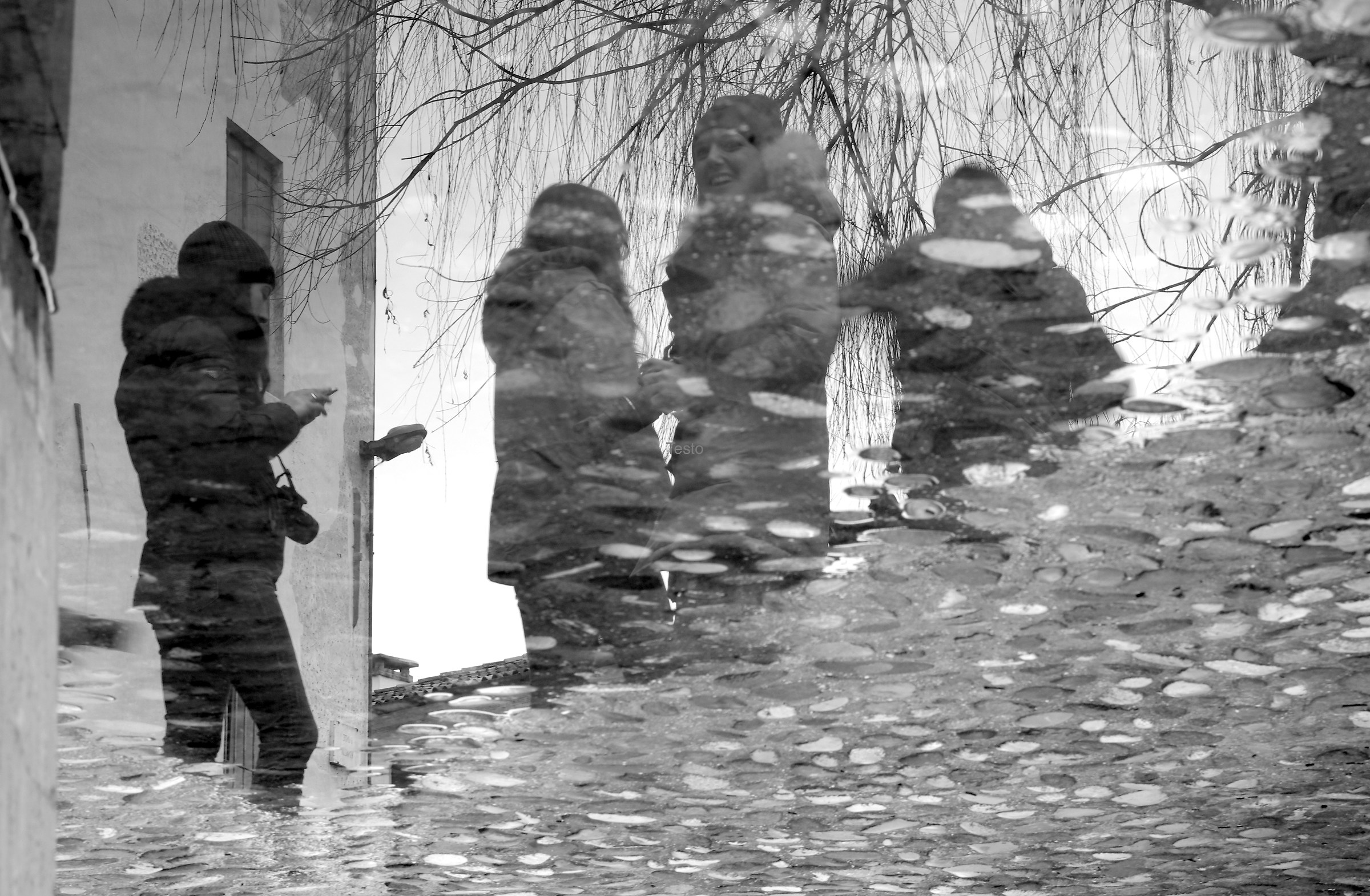 beauties in the mirror