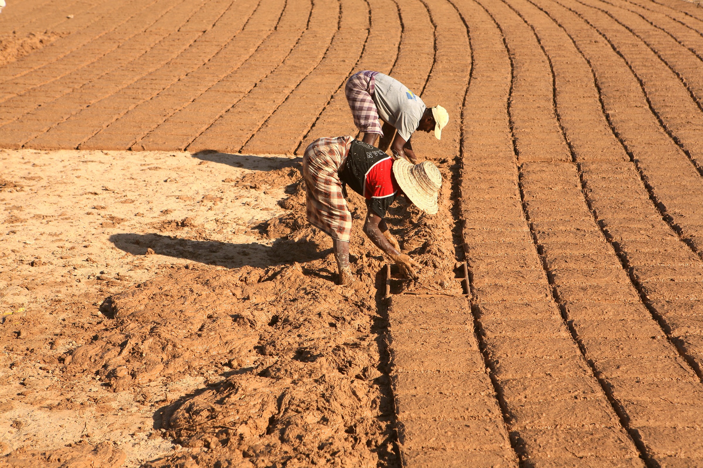 Construction of mud and straw bricks, Yemen