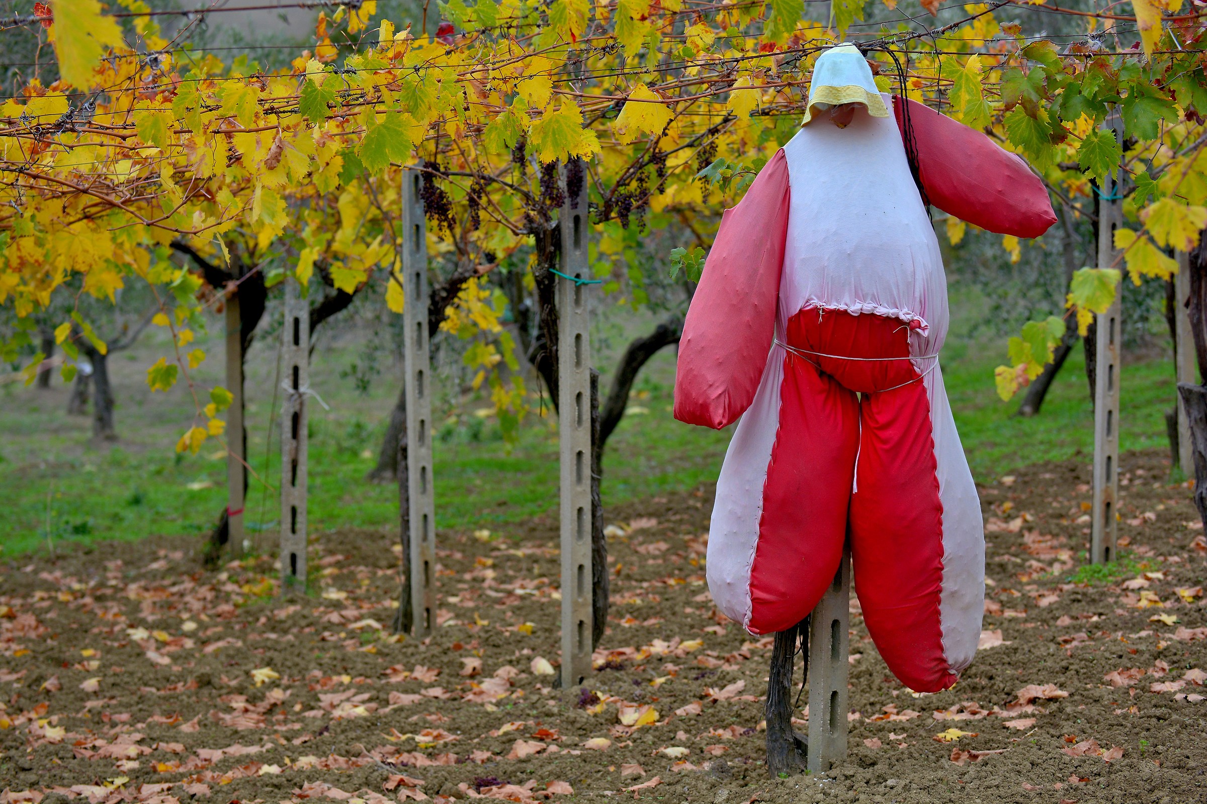 Oh ... Really frightens!