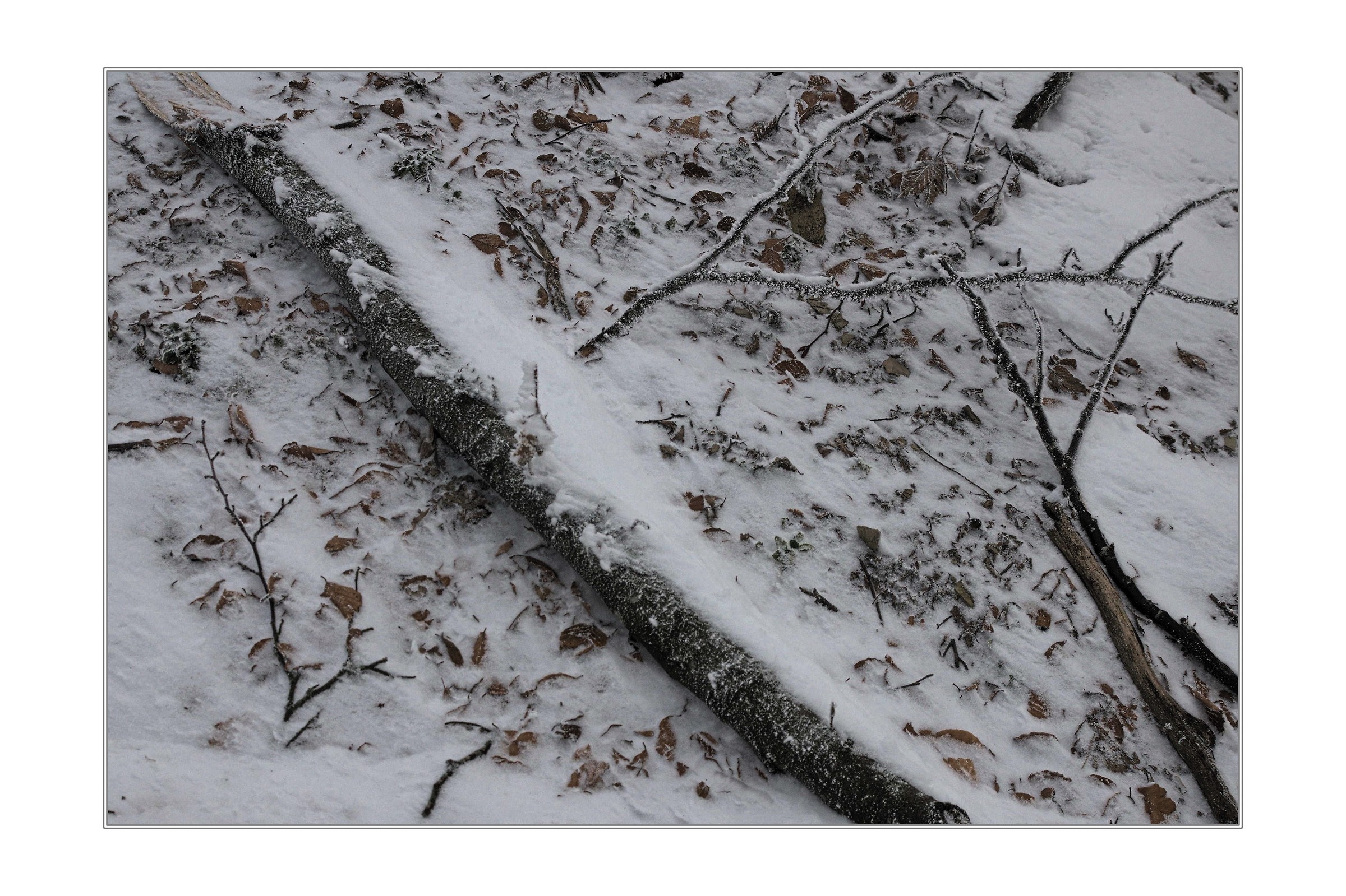 Il ciclo si è chiuso