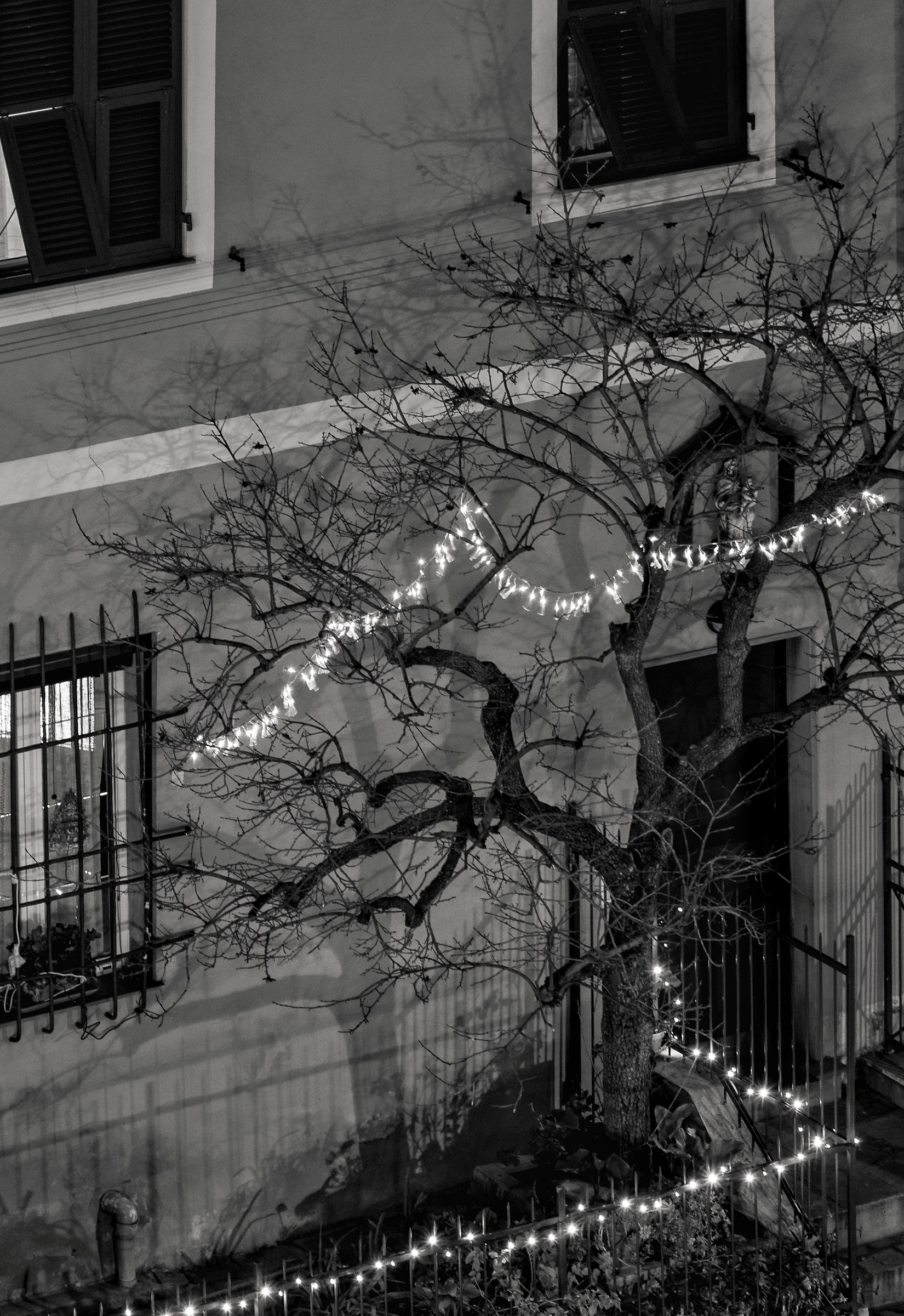 this is not a Christmas tree