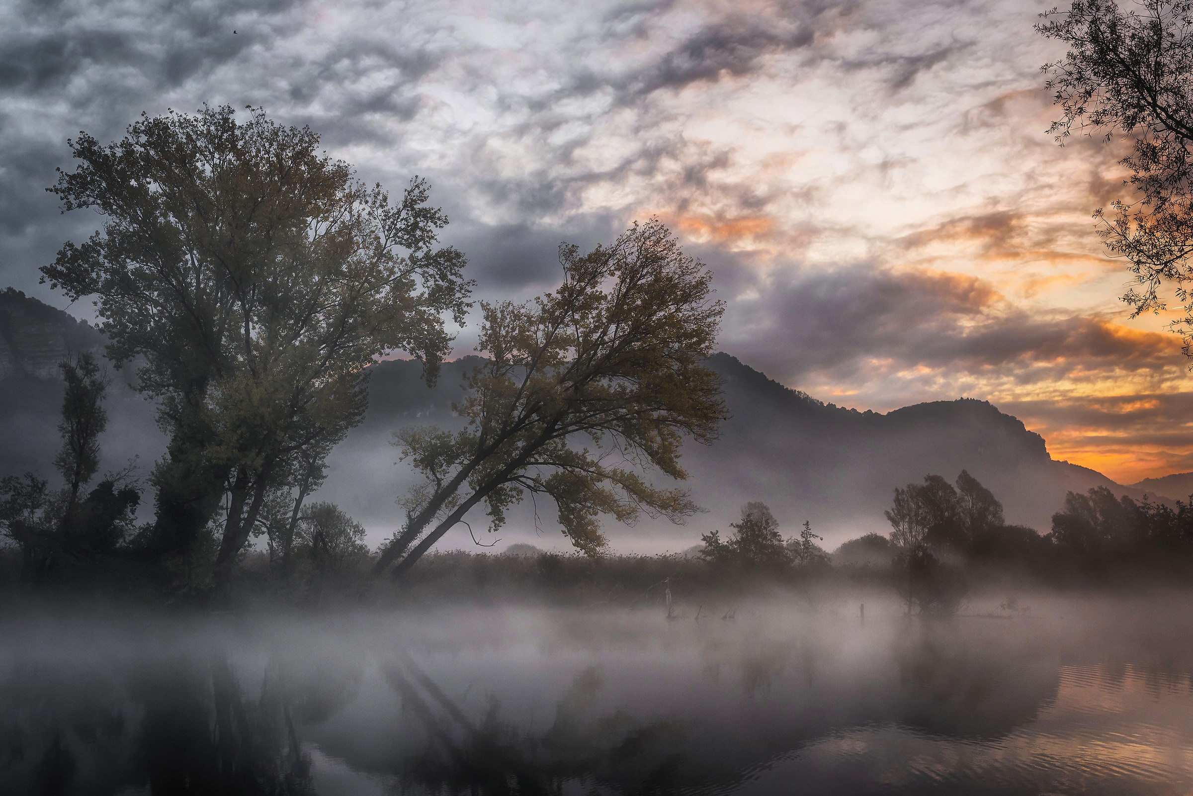 First morning lights