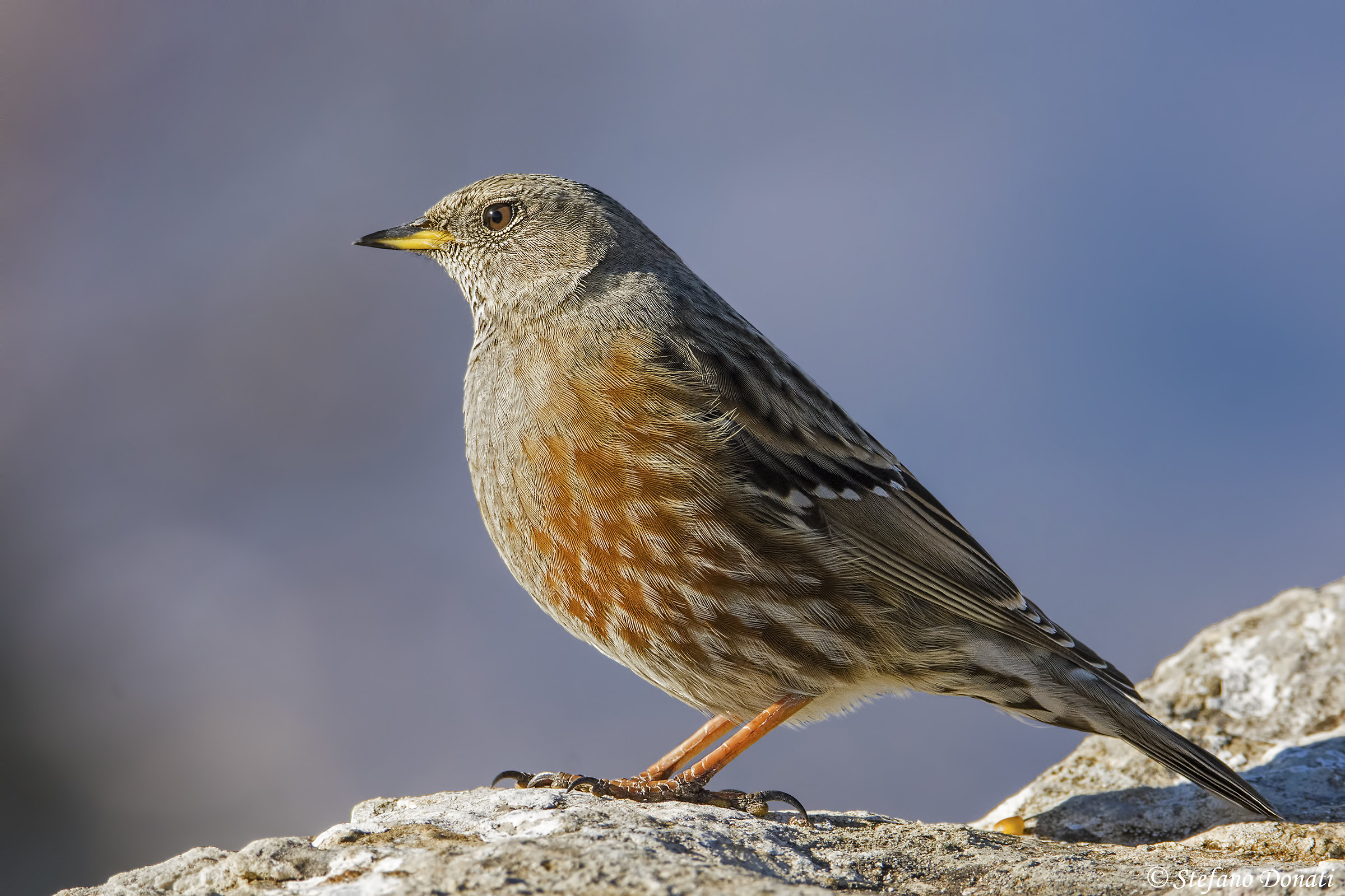 On the edge of the precipice