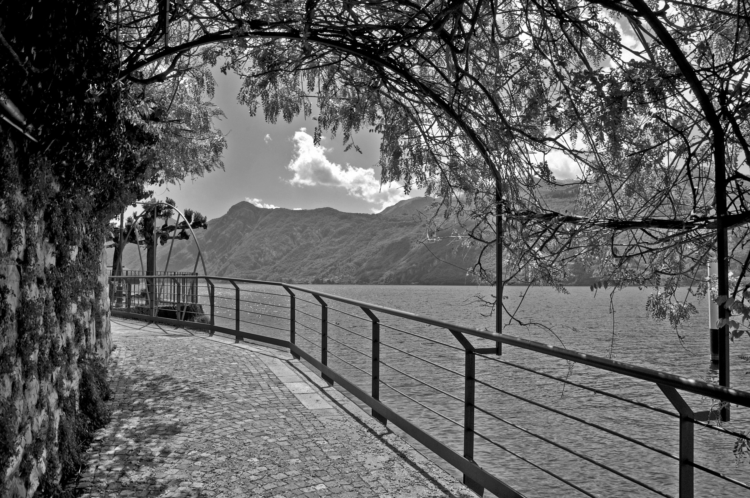 Lake Lecco - Lierna (lc)